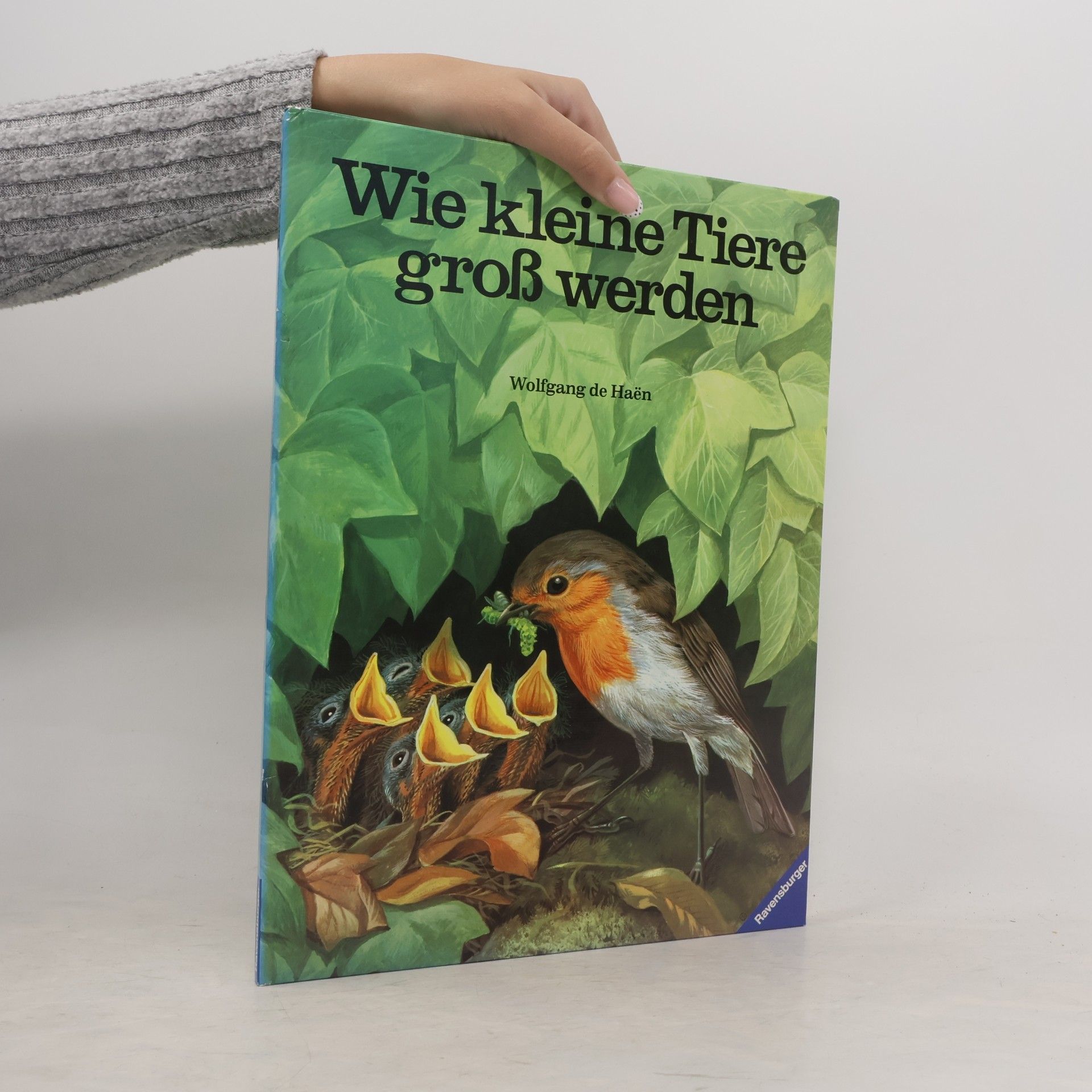 Wolfgang de Haen Wie kleine Tiere gross werden