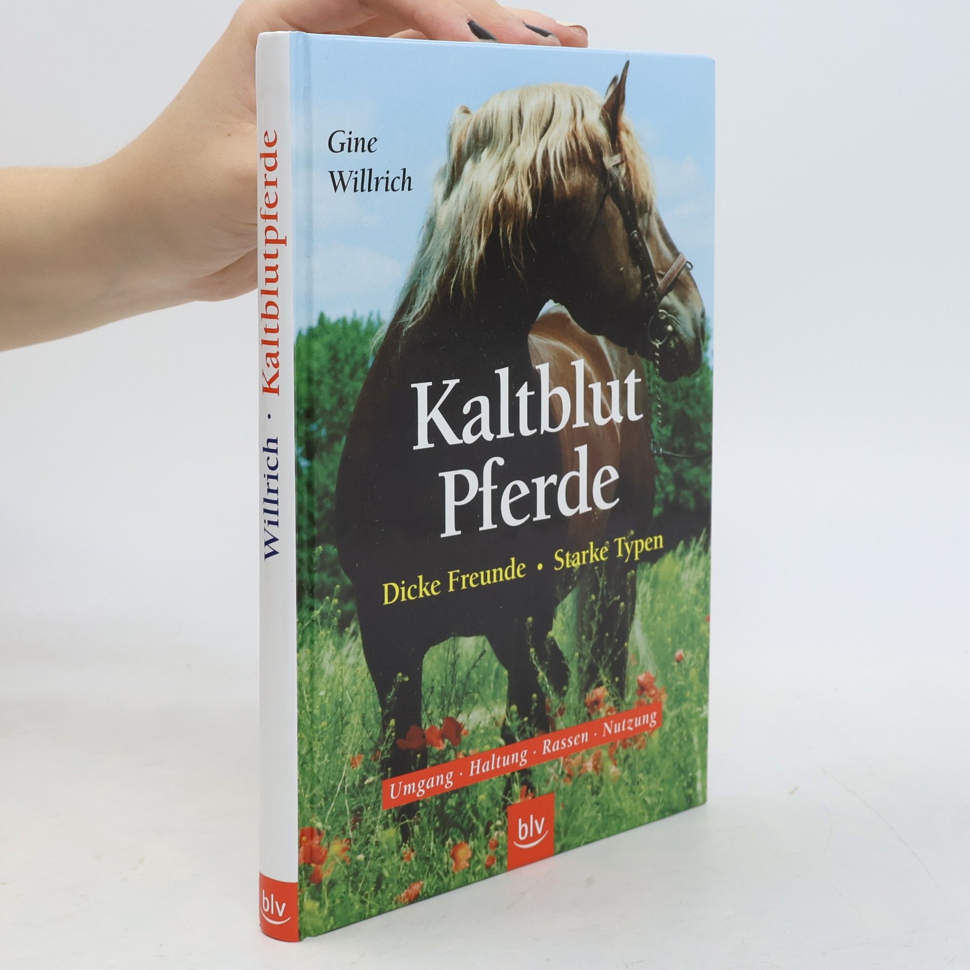Gine Willrich Kaltblutpferde