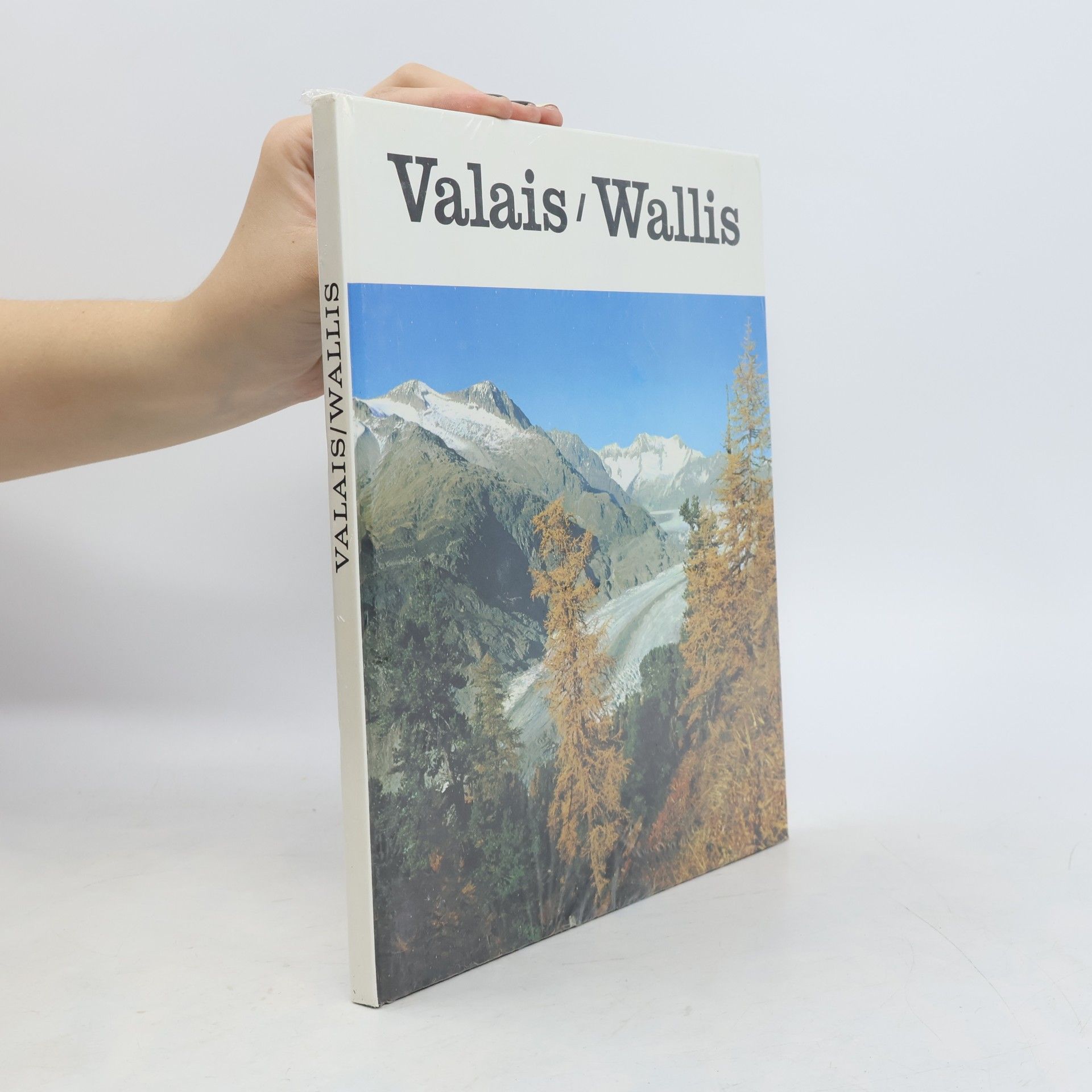 AA.VV. Valais. Wallis