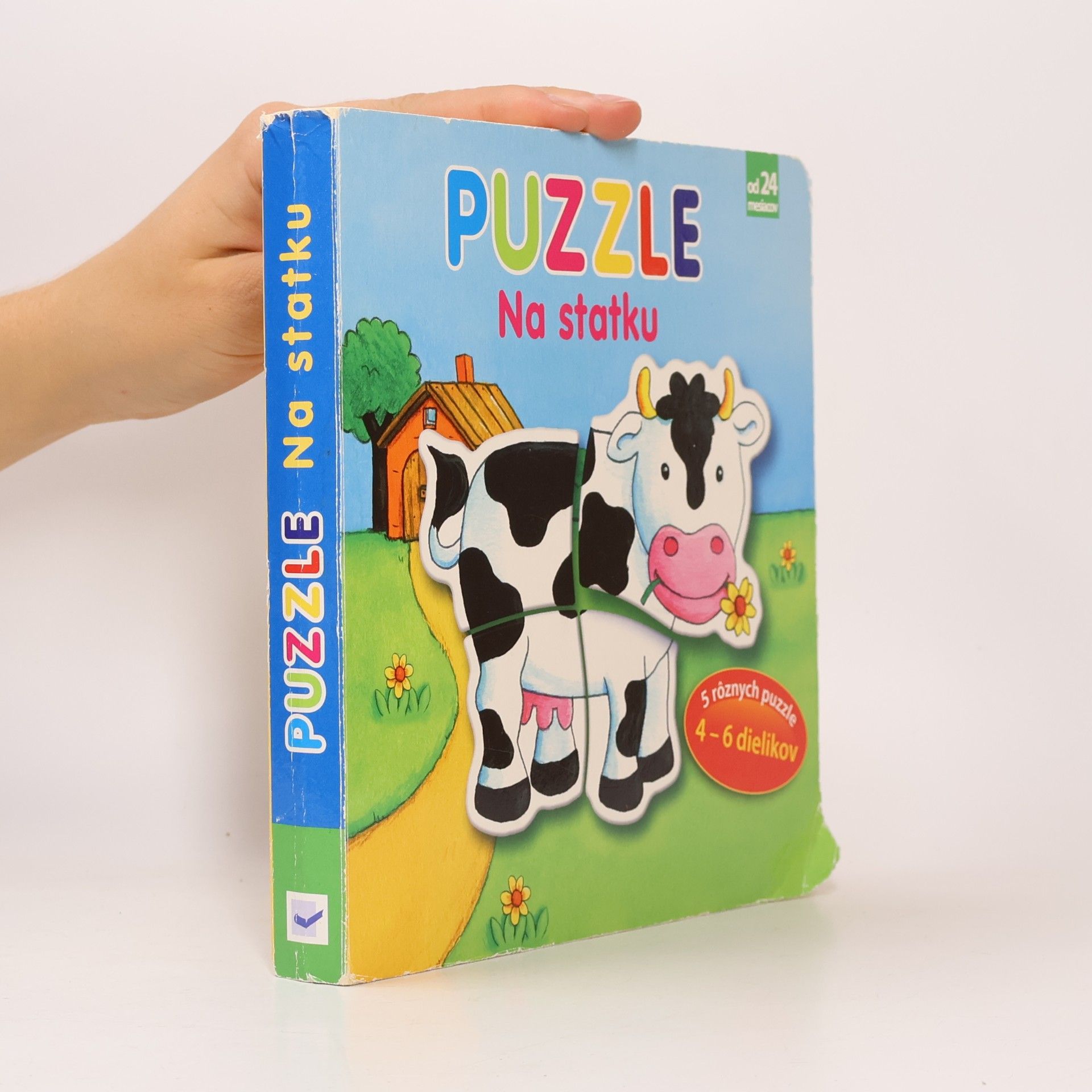 Vera Brüggemann Puzzle na statku