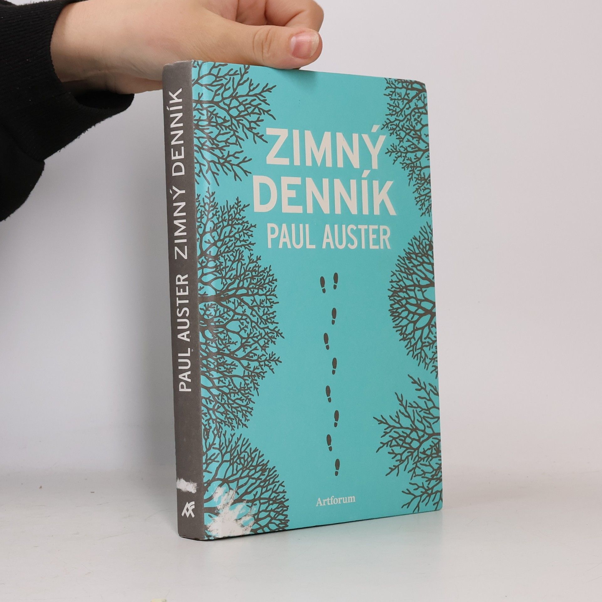 Paul Auster Zimný Denník