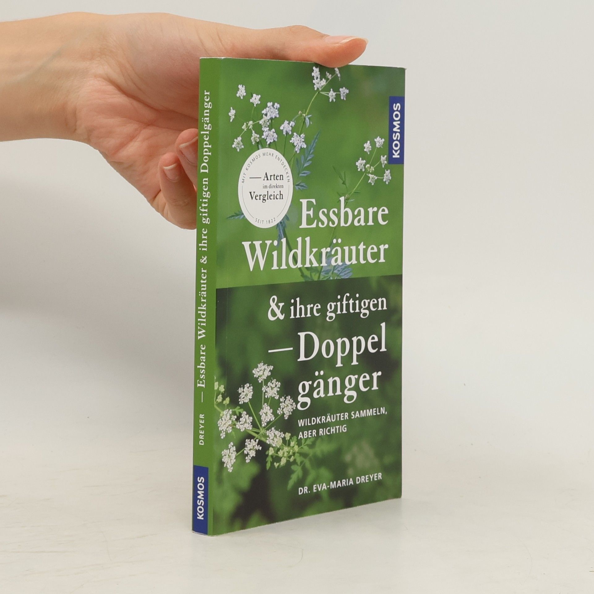 Essbare Wildkräuter und ihre giftigen Doppelgänger