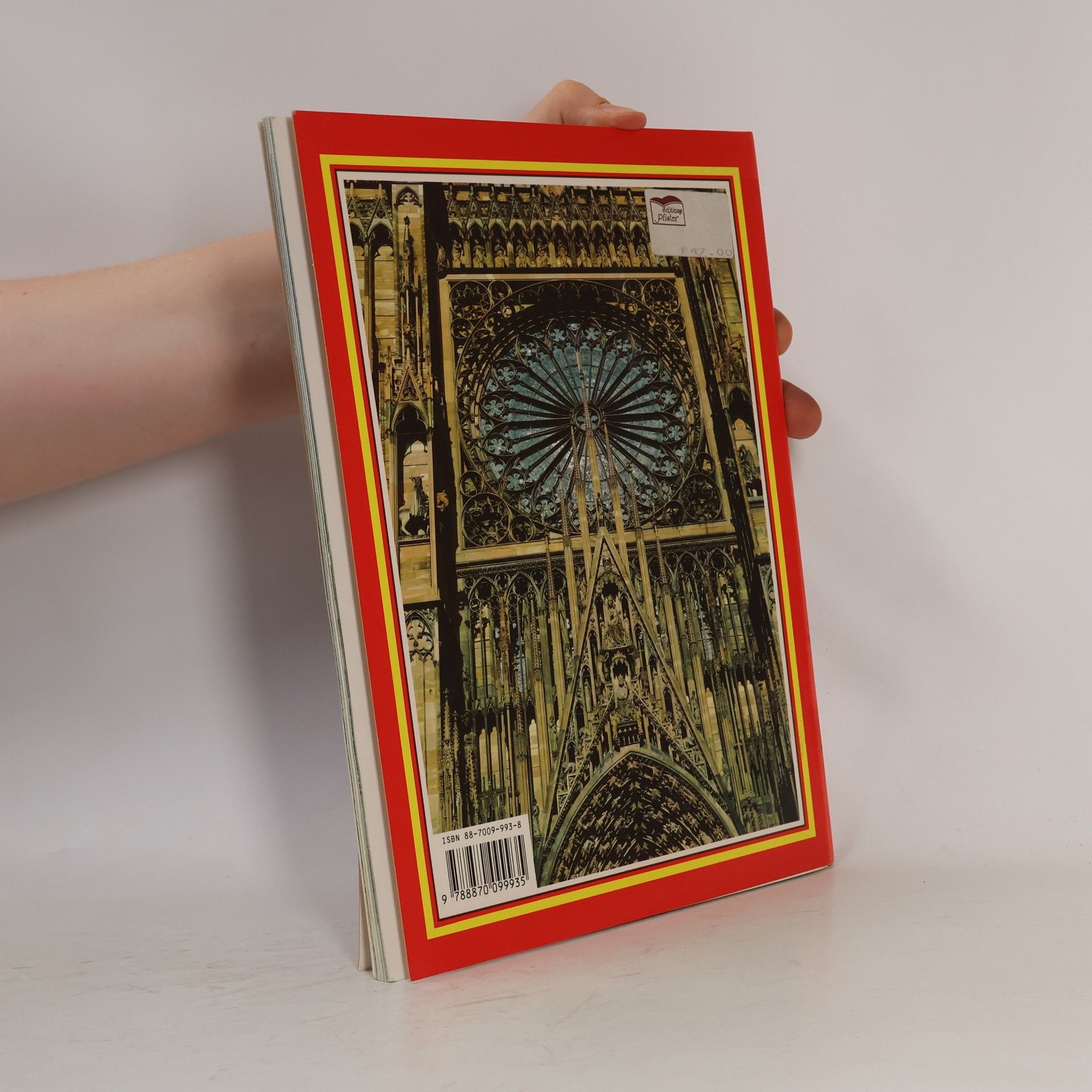 Annamaria Giusti Golden Book of Strasbourg - English Edition