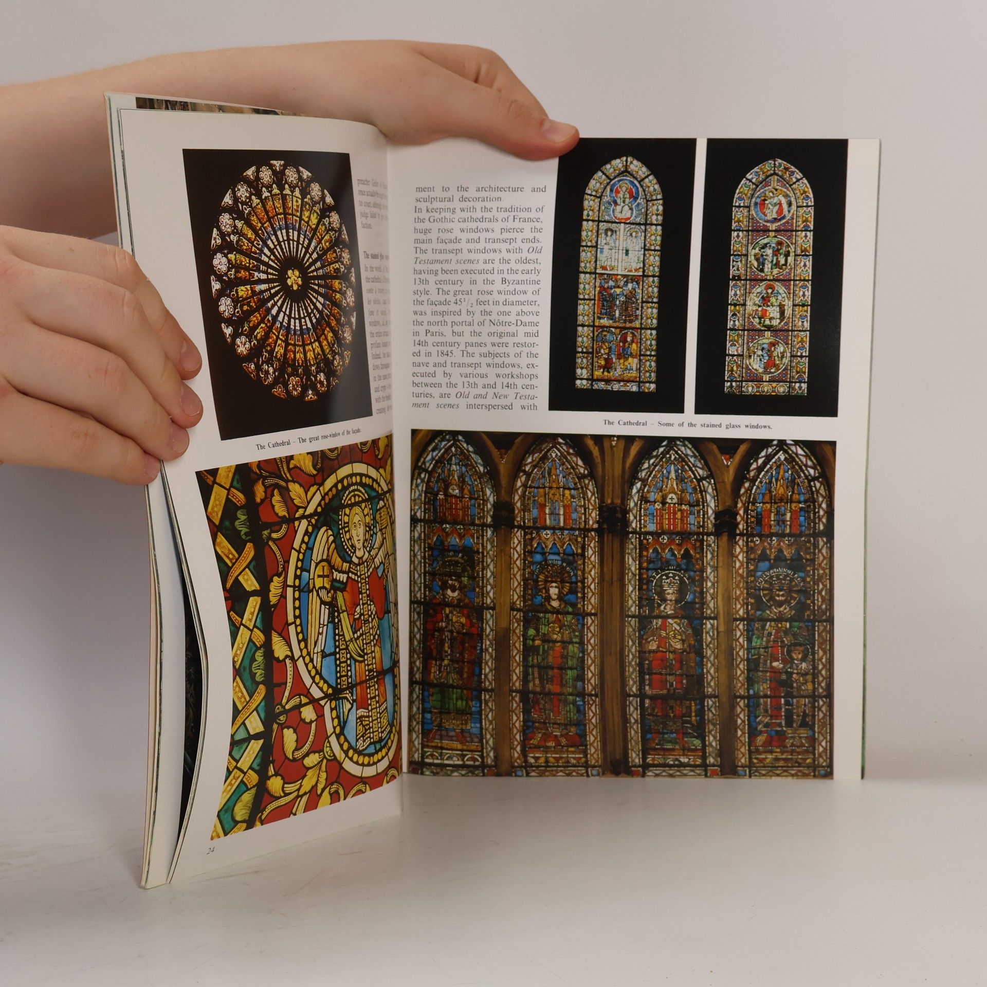 Annamaria Giusti Golden Book of Strasbourg - English Edition