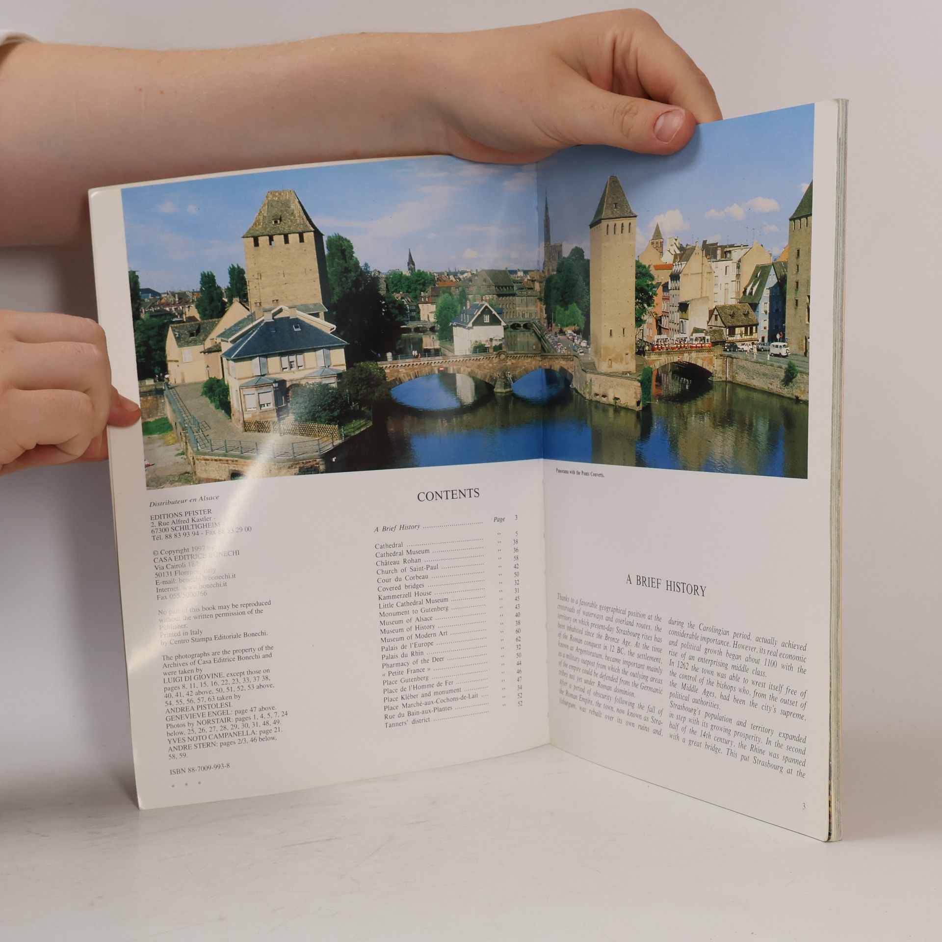 Annamaria Giusti Golden Book of Strasbourg - English Edition