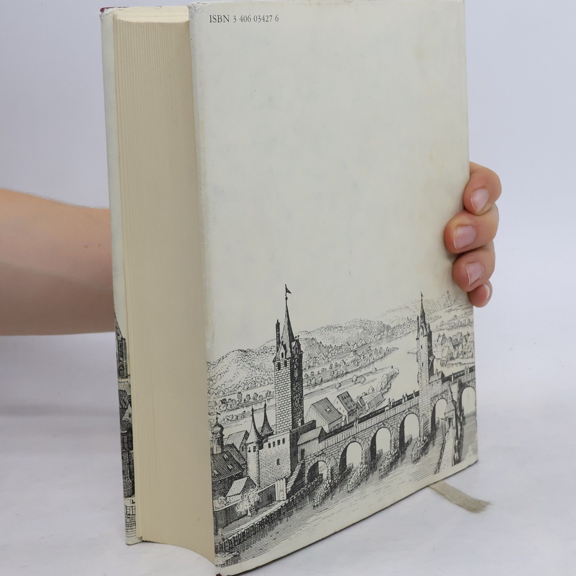 Carl Theodor Gemeiner Regensburgische Chronik 1/2