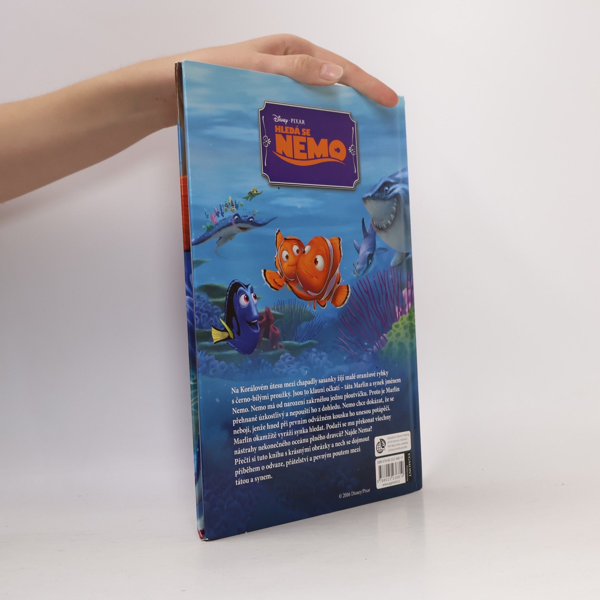 kolektiv Hledá se Nemo
