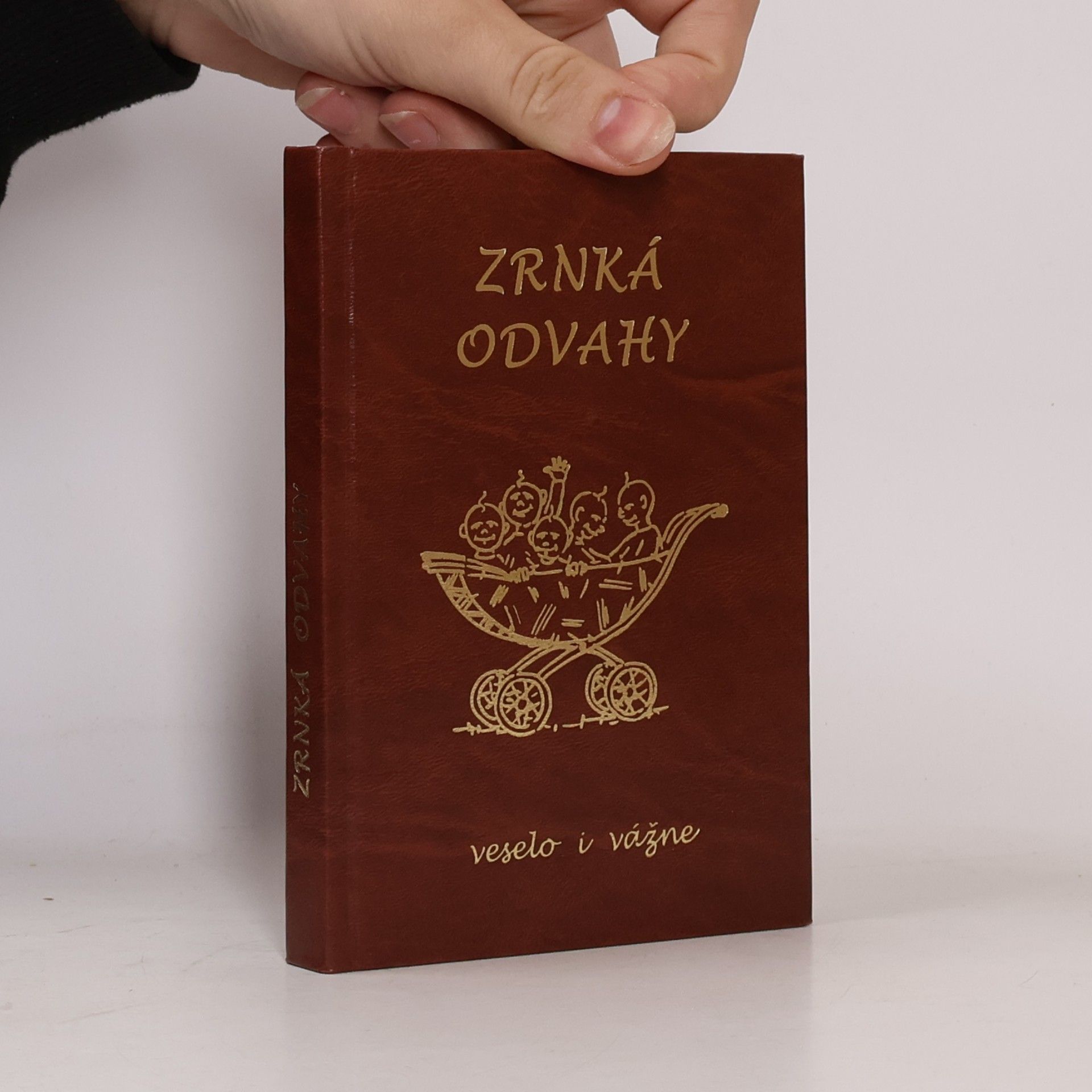 Autorenkollektiv Zrnká odvahy