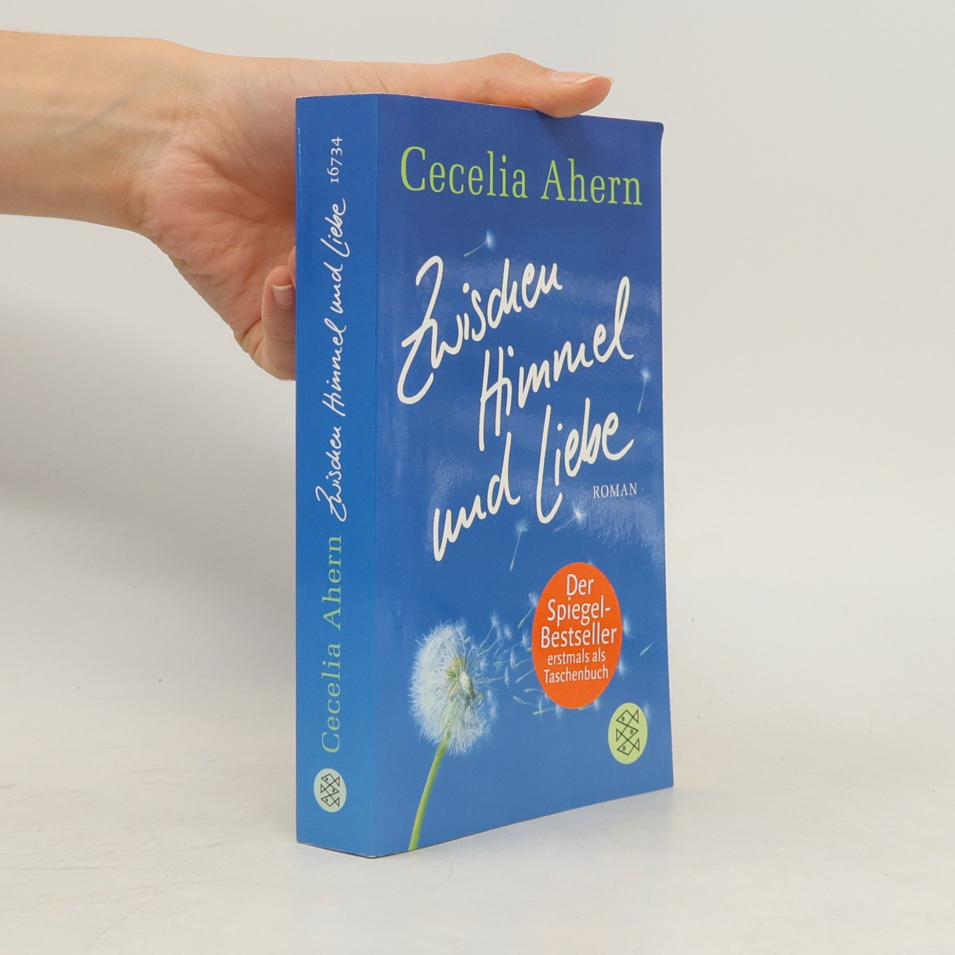 Cecelia Ahern Zwischen Himmel und Liebe