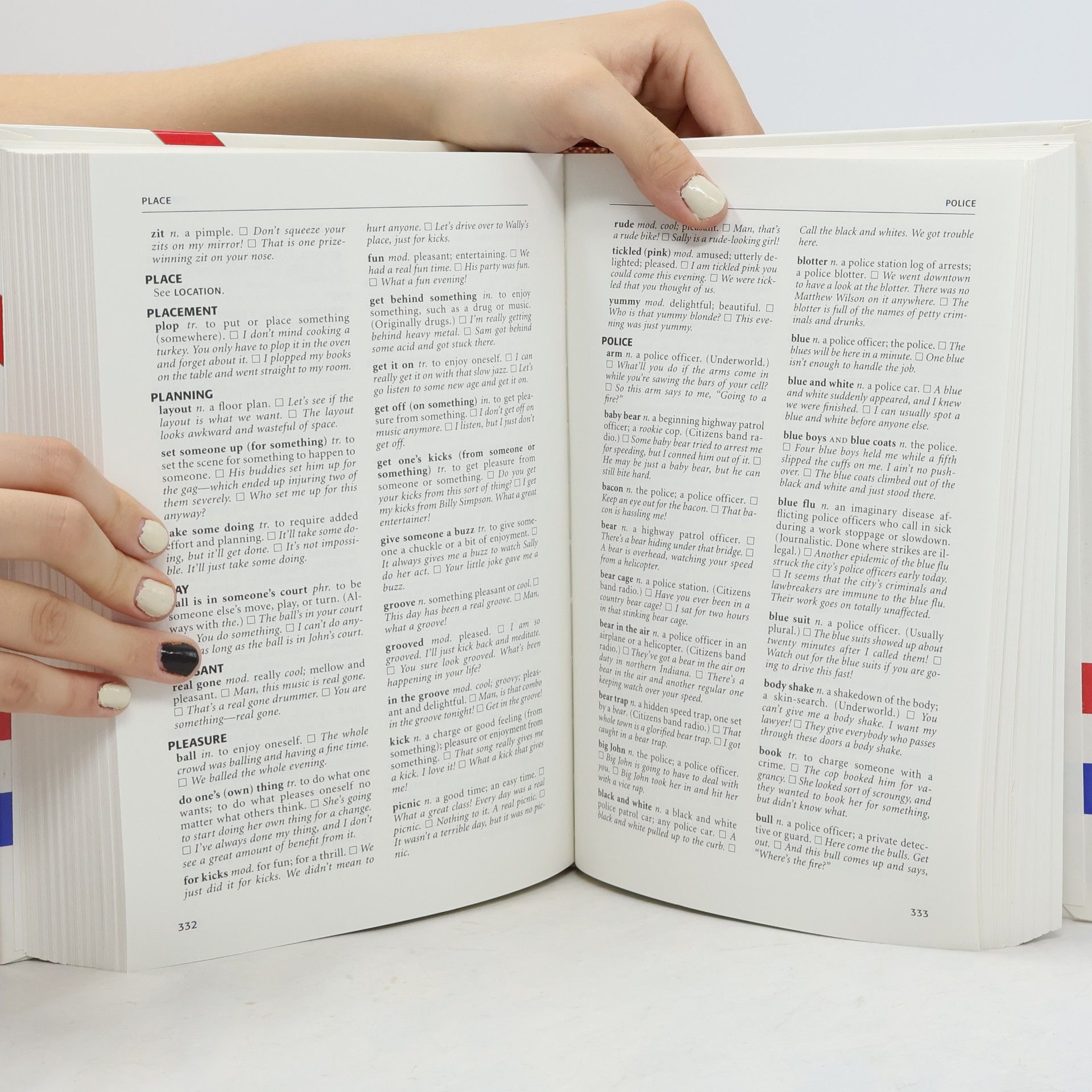 Richard Spears NTC's Thematic Dictionary of American Slang
