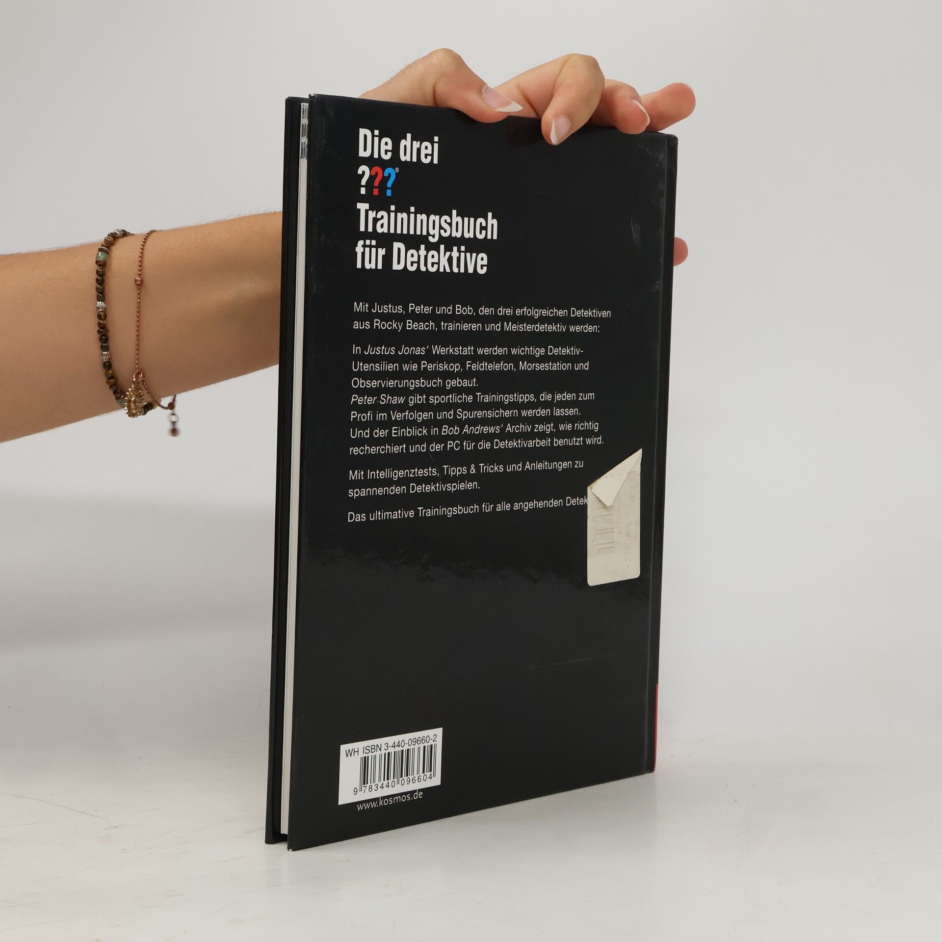 Bernd Flessner Die drei ??? - Trainingsbuch für Detektive