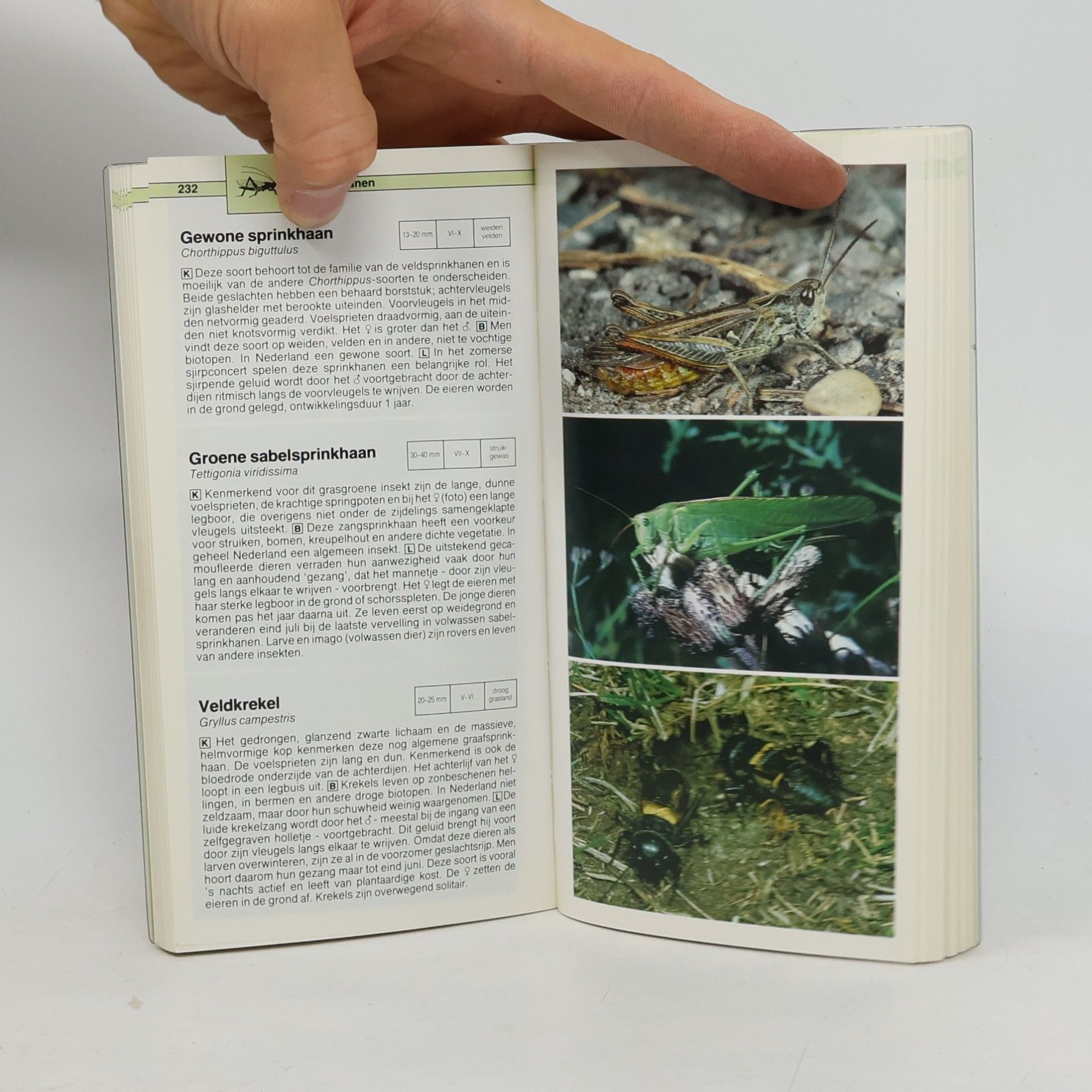 Ute E. Zimmer Dieren- en plantengids voor onderweg