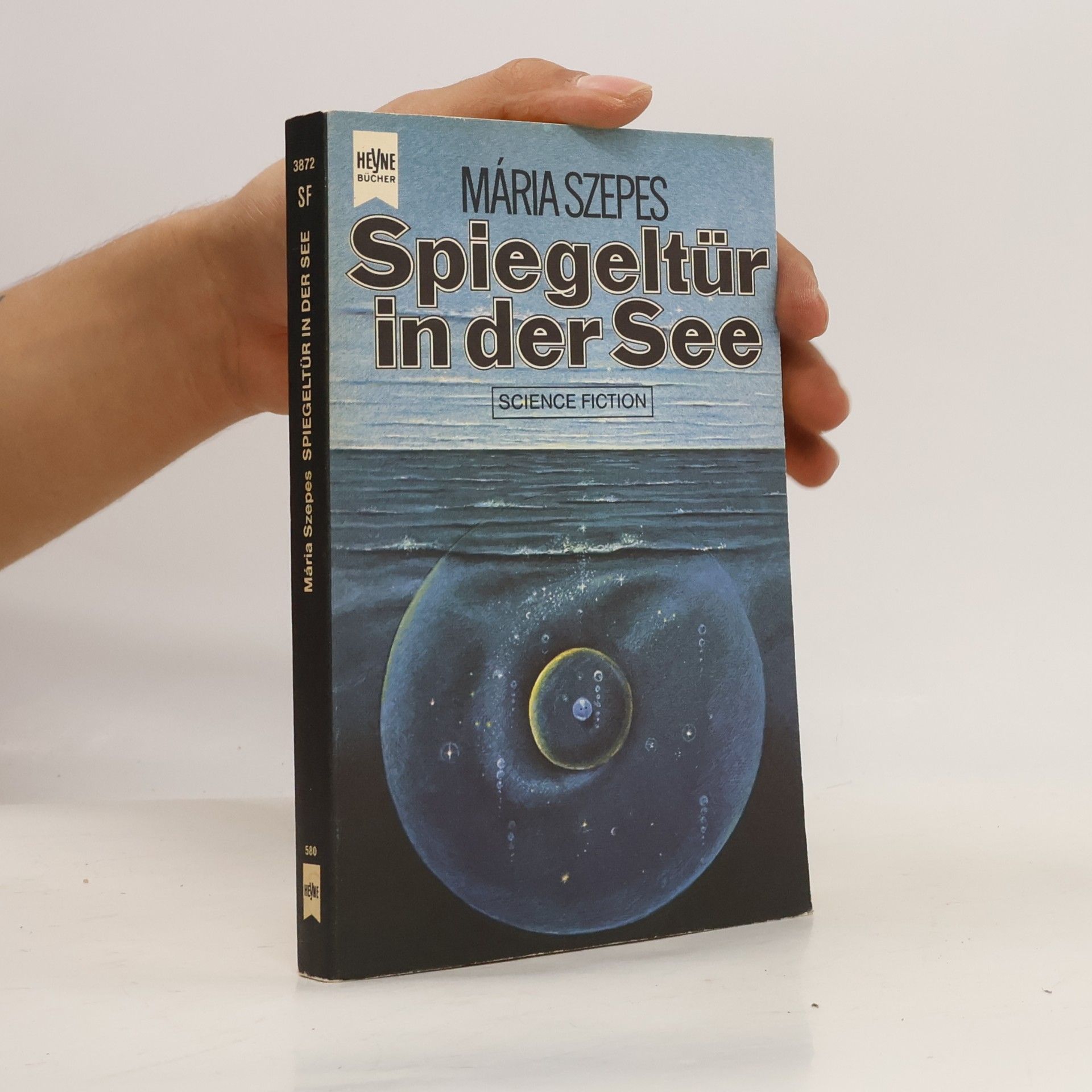 Spiegeltür in der See.