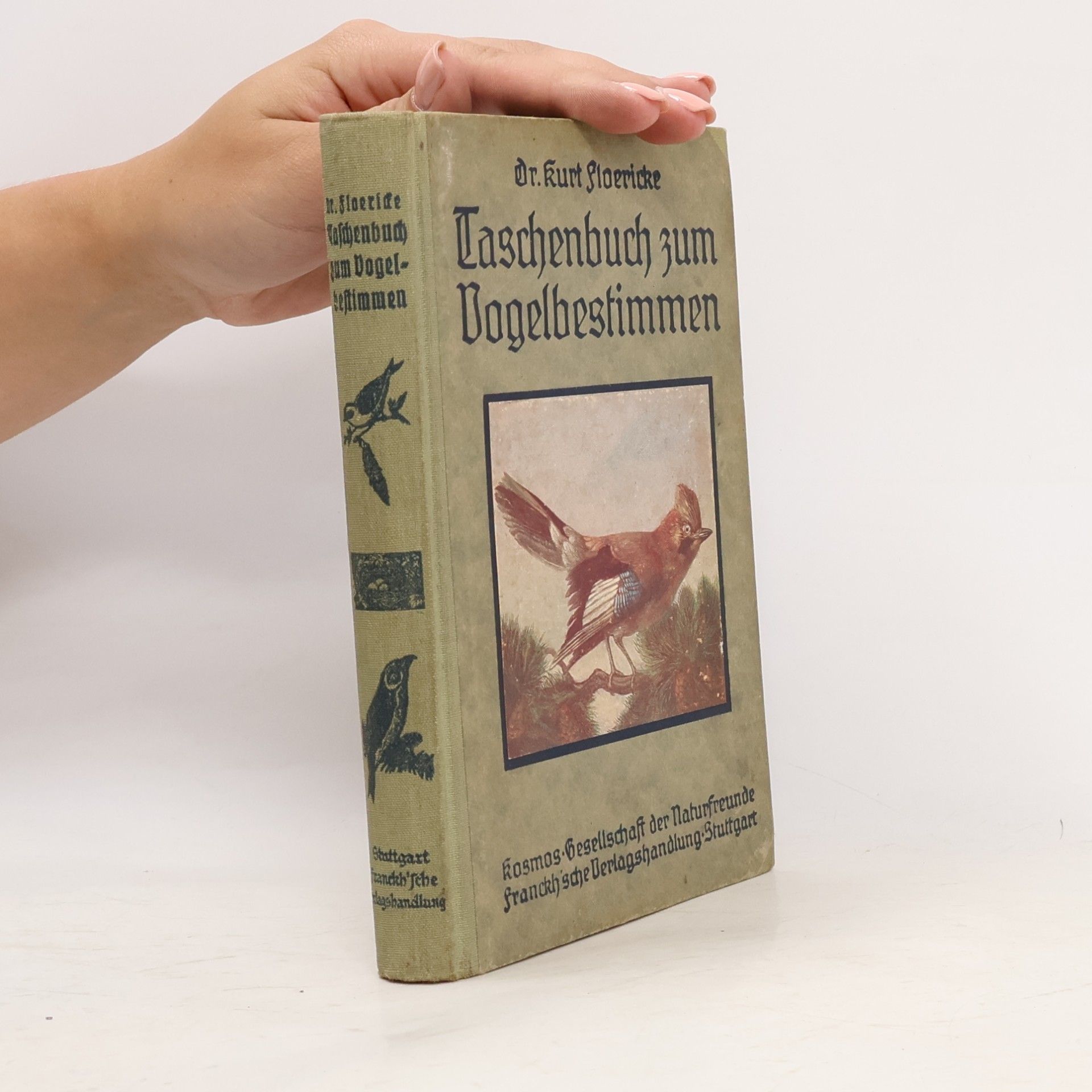 Kurt Floericke Taschenbuch zum Vogelbestimmen