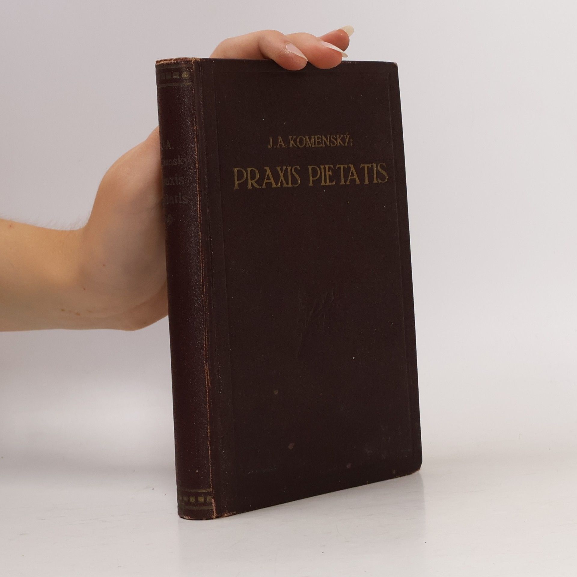 Jan Amos Komenský Praxis Pietatis, to jest O cvičení se v pobožnosti pravé