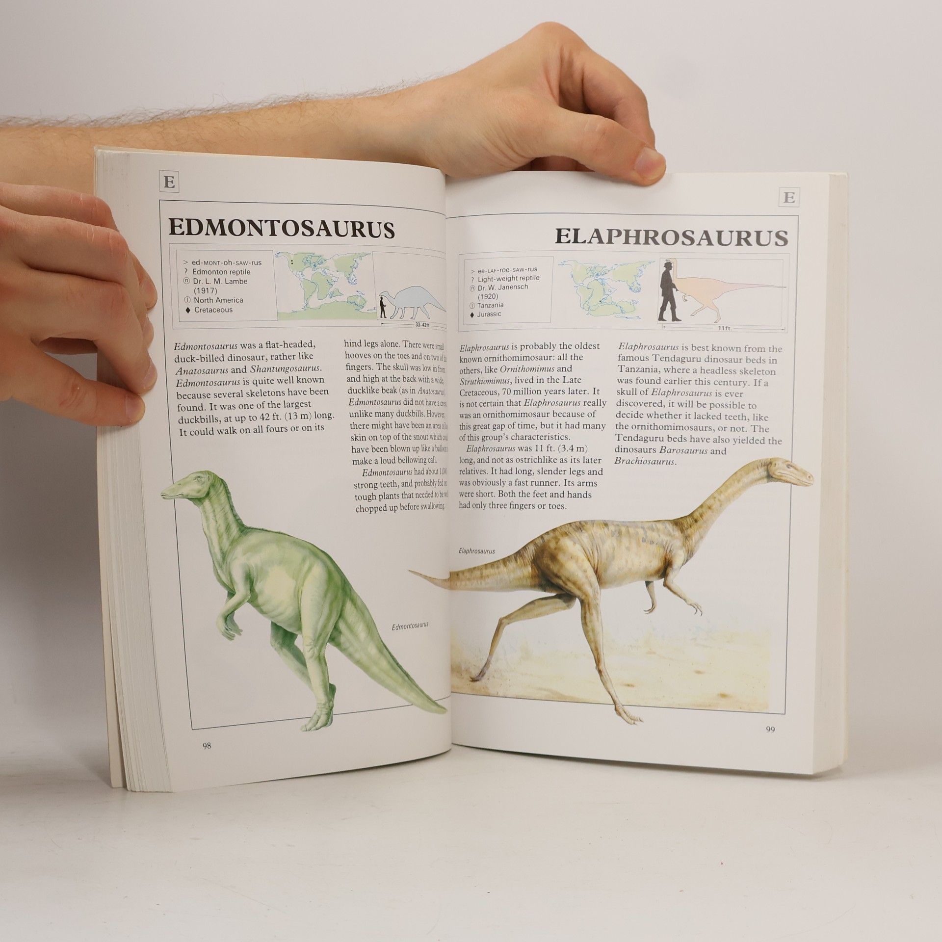 Jim Channell Dinosaur and Other Prehistoric Animal Fact Finder