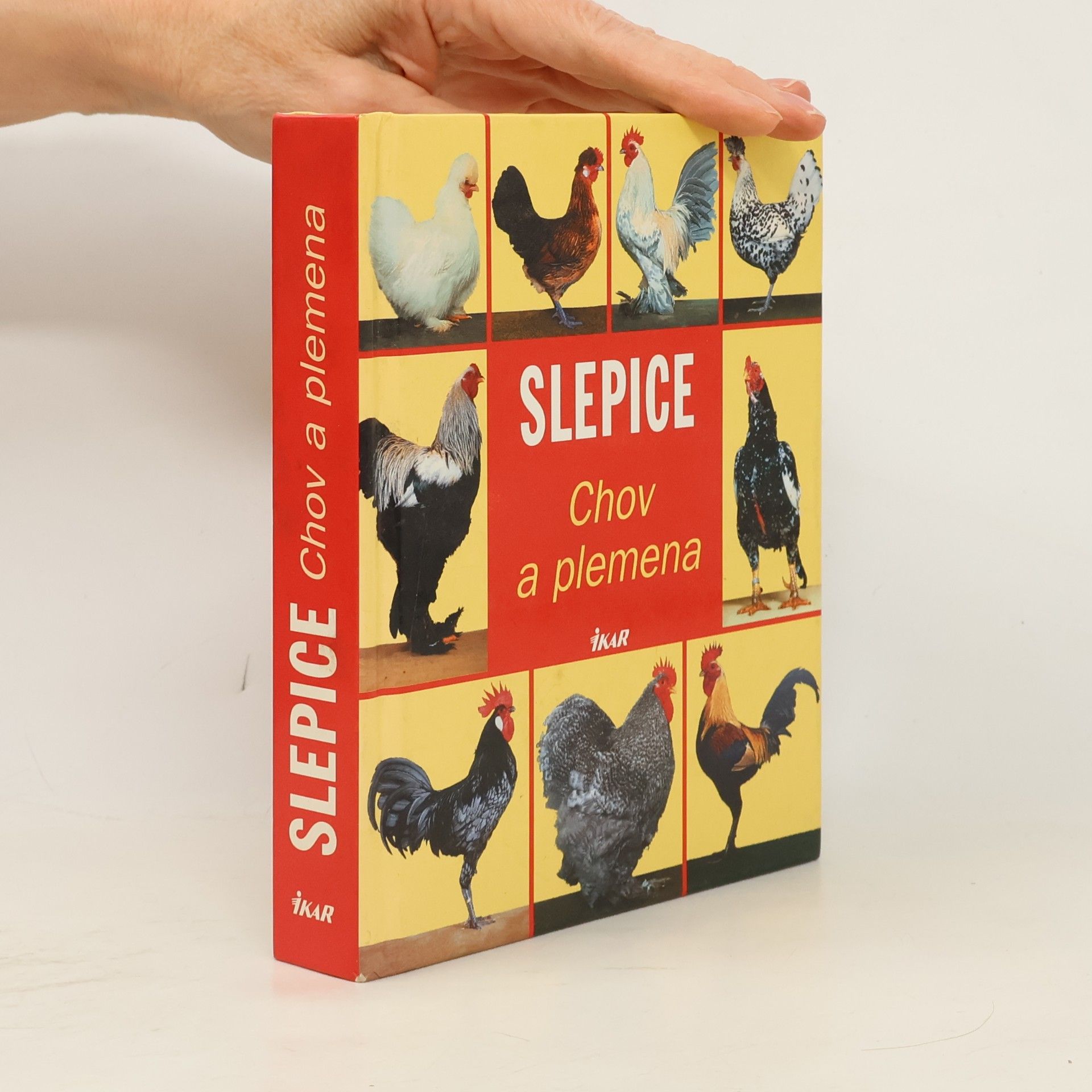 Hans Joachim Schille Slepice : chov a plemena