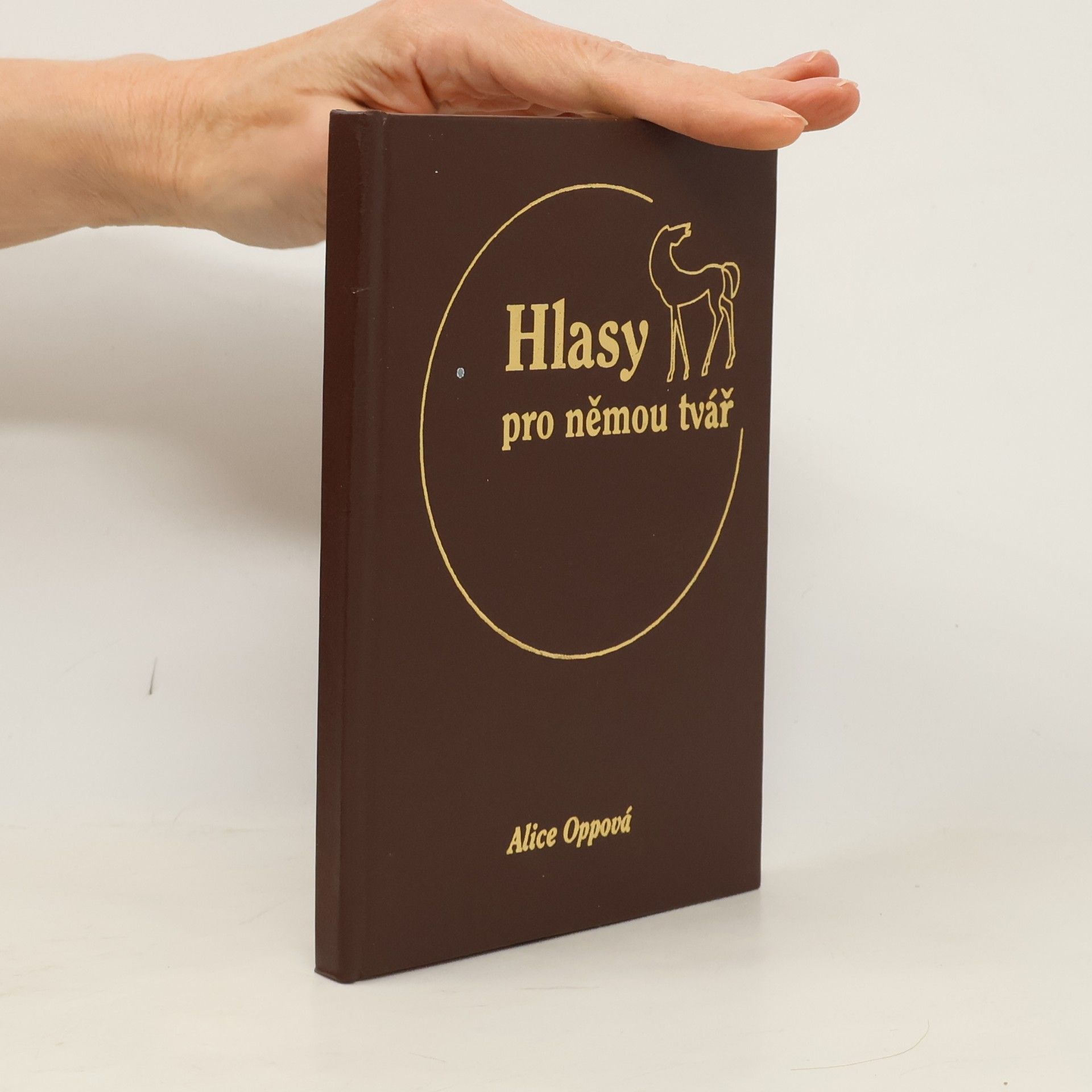 Hlasy pro němou tvář