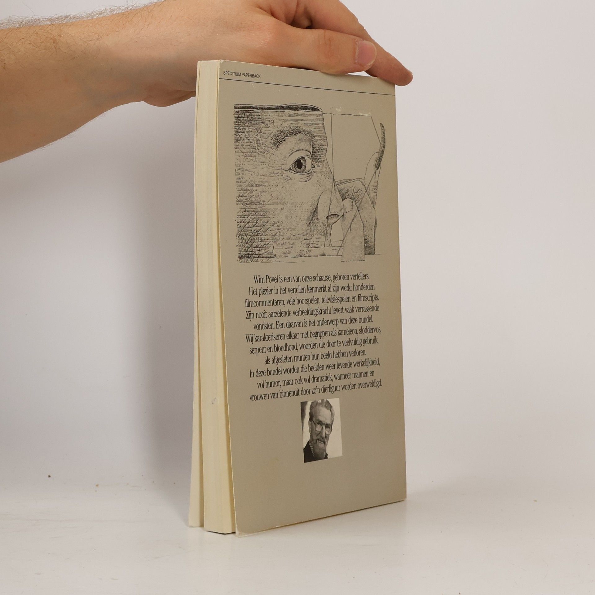 Willem Emile Maria Povel Spectrum Paperback: Het leugenbeest en andere vertrouwde figuren