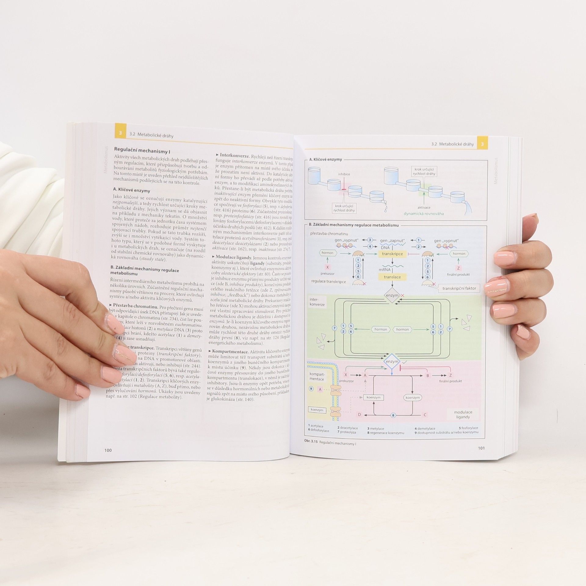 Jan Koolman Barevný atlas biochemie