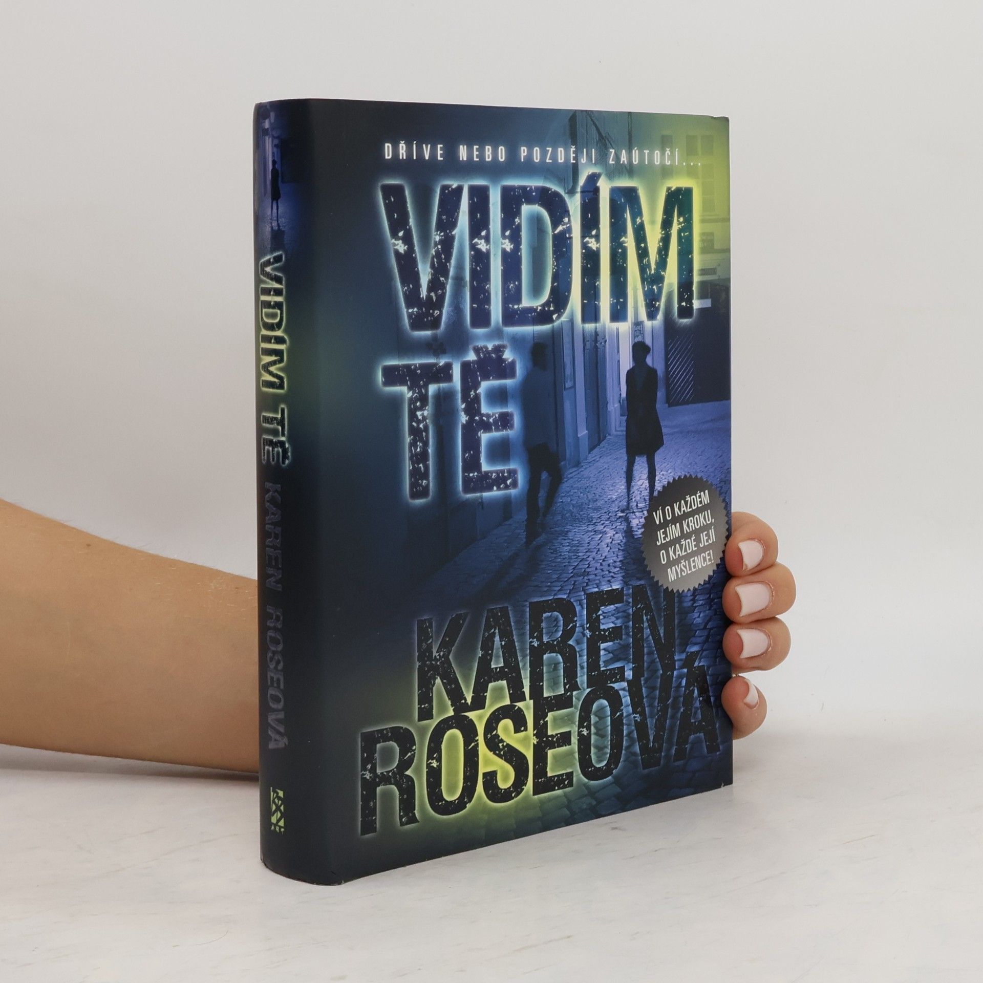 Karen Rose Vidím tě