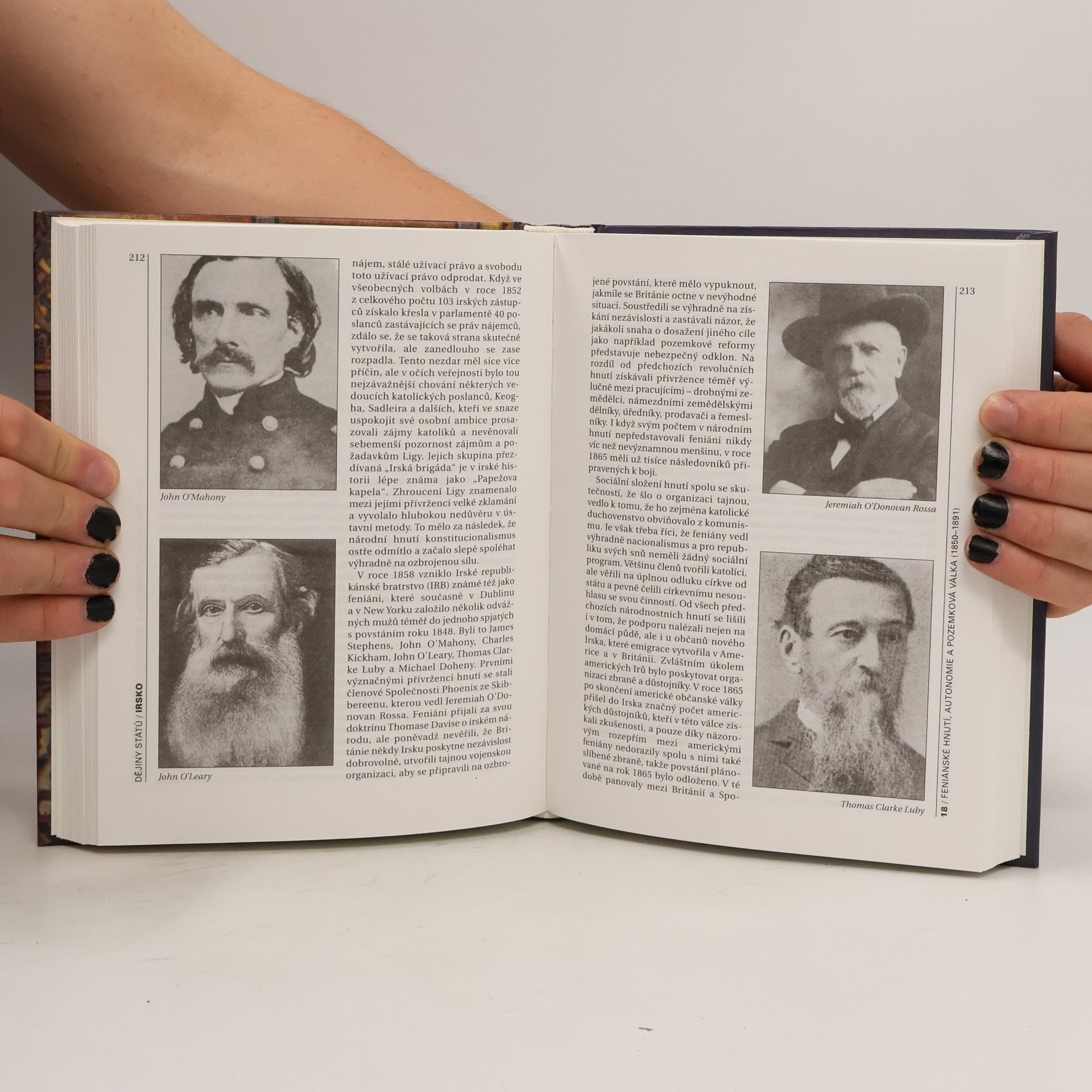 T. W. Theodore William Moody Dějiny Irska