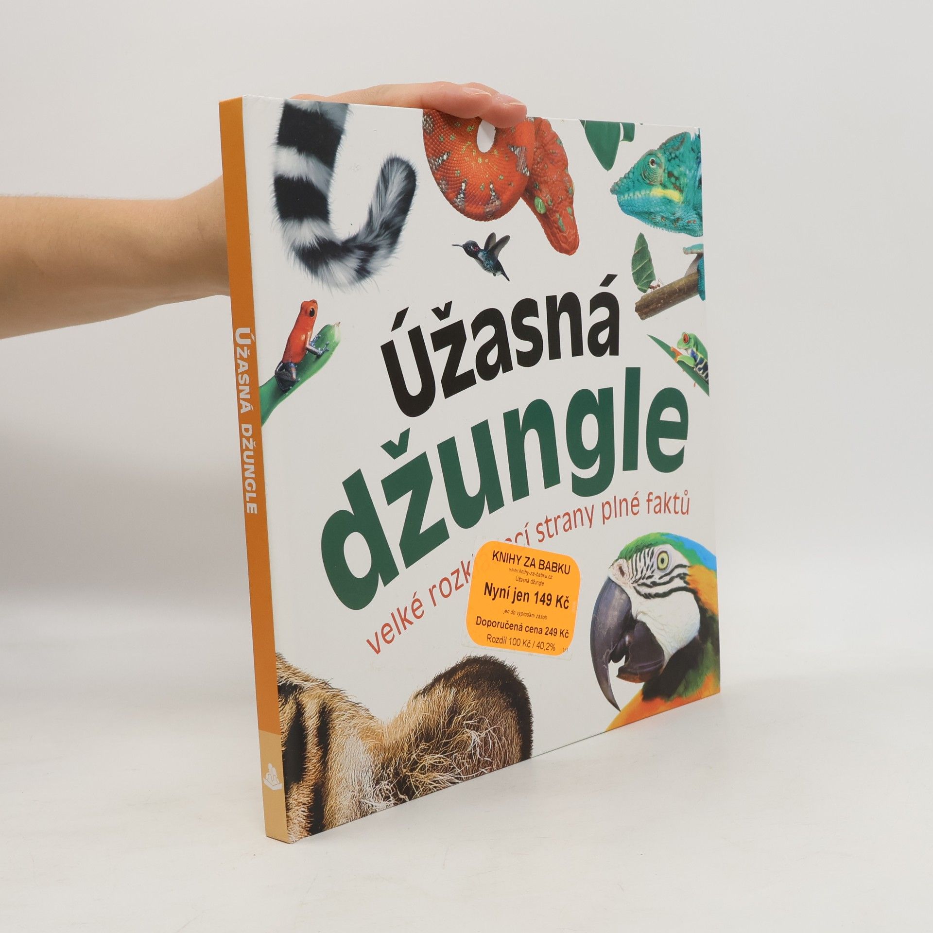Úžasná džungle : velké rozkládací strany plné faktů
