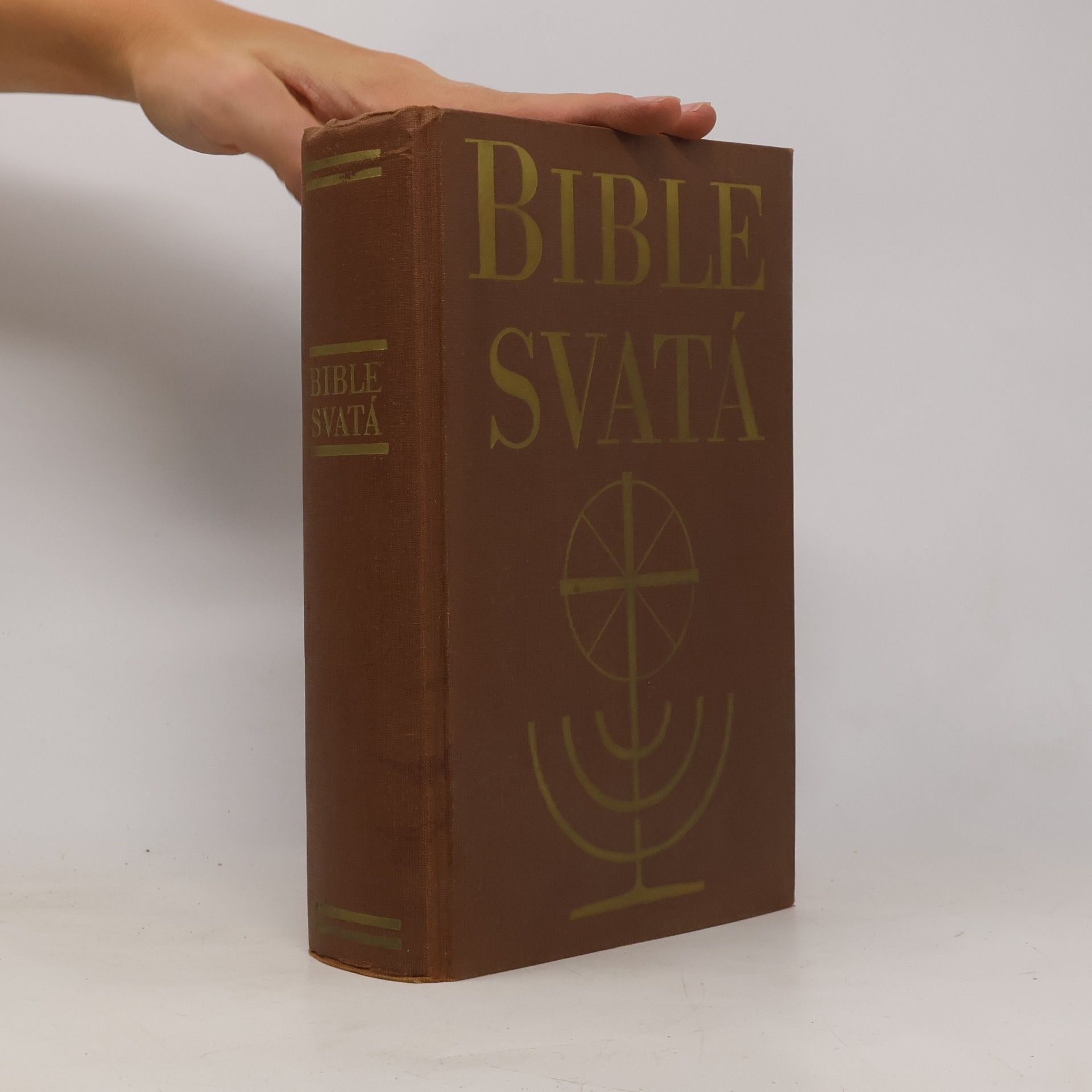 Kolektiv autorů Bible svatá