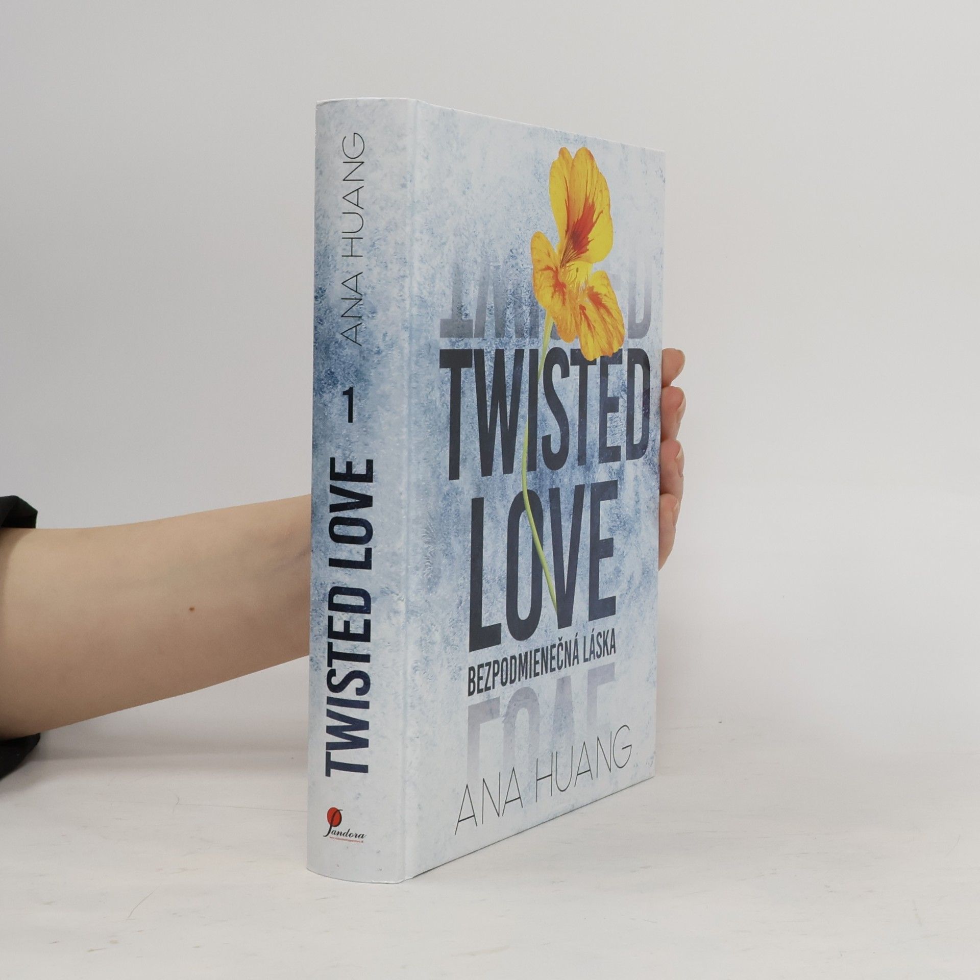 Ana Huang Twisted Love: Bezpomienečná láska
