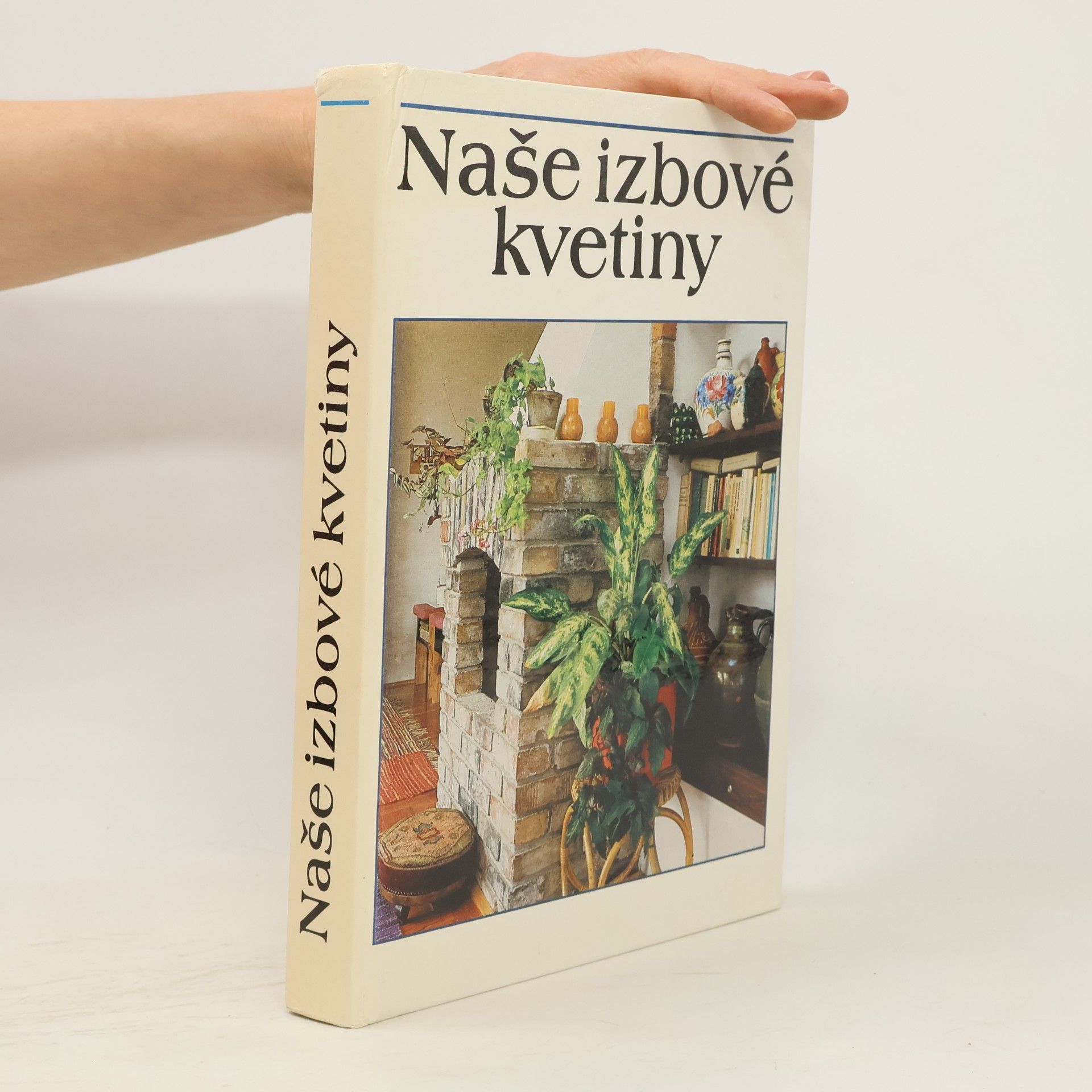 Lajos Lelkes Naše izbové kvetiny