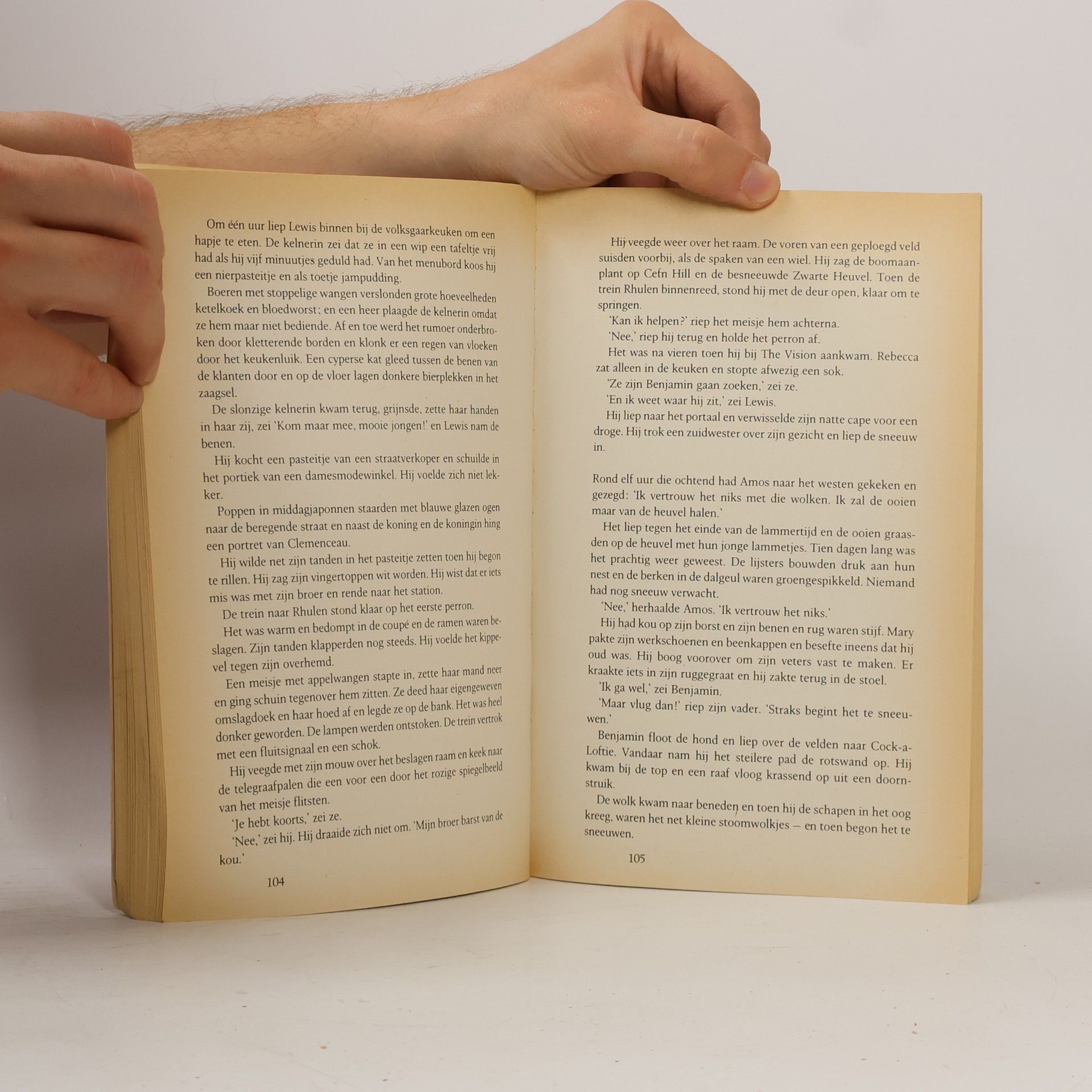 Bruce Chatwin De zwarte heuvel