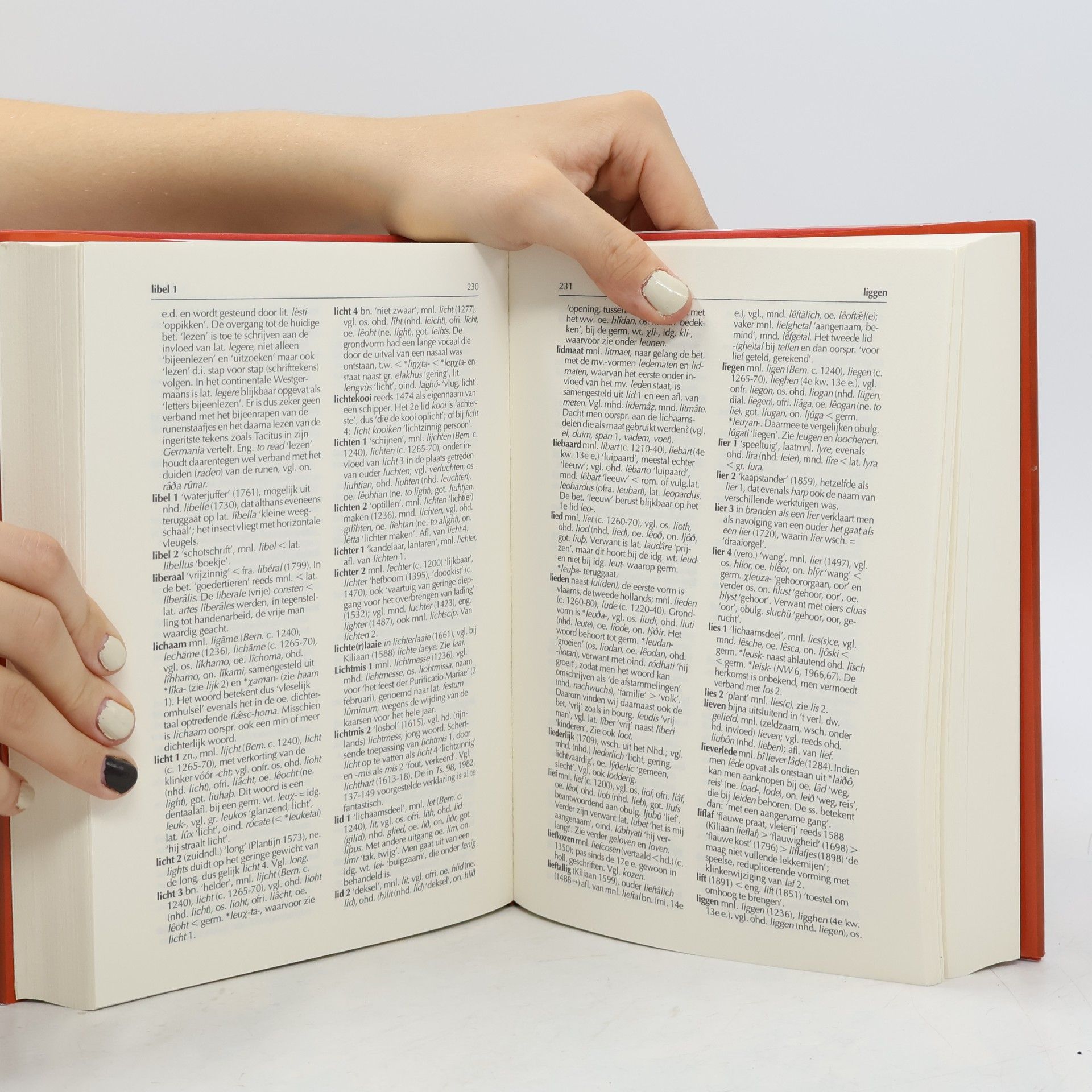 Jan de Vries Etymologisch woordenboek