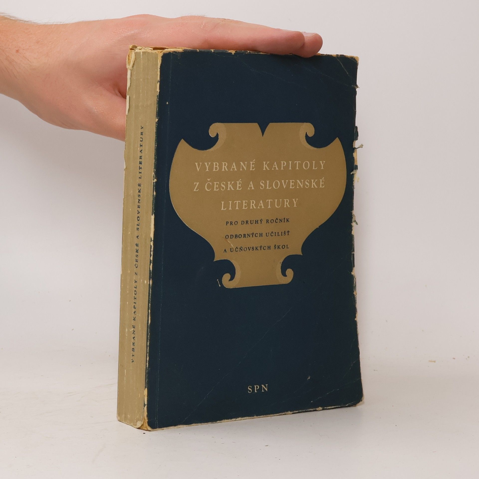 Vybrané kapitoly z české a slovenské literatury