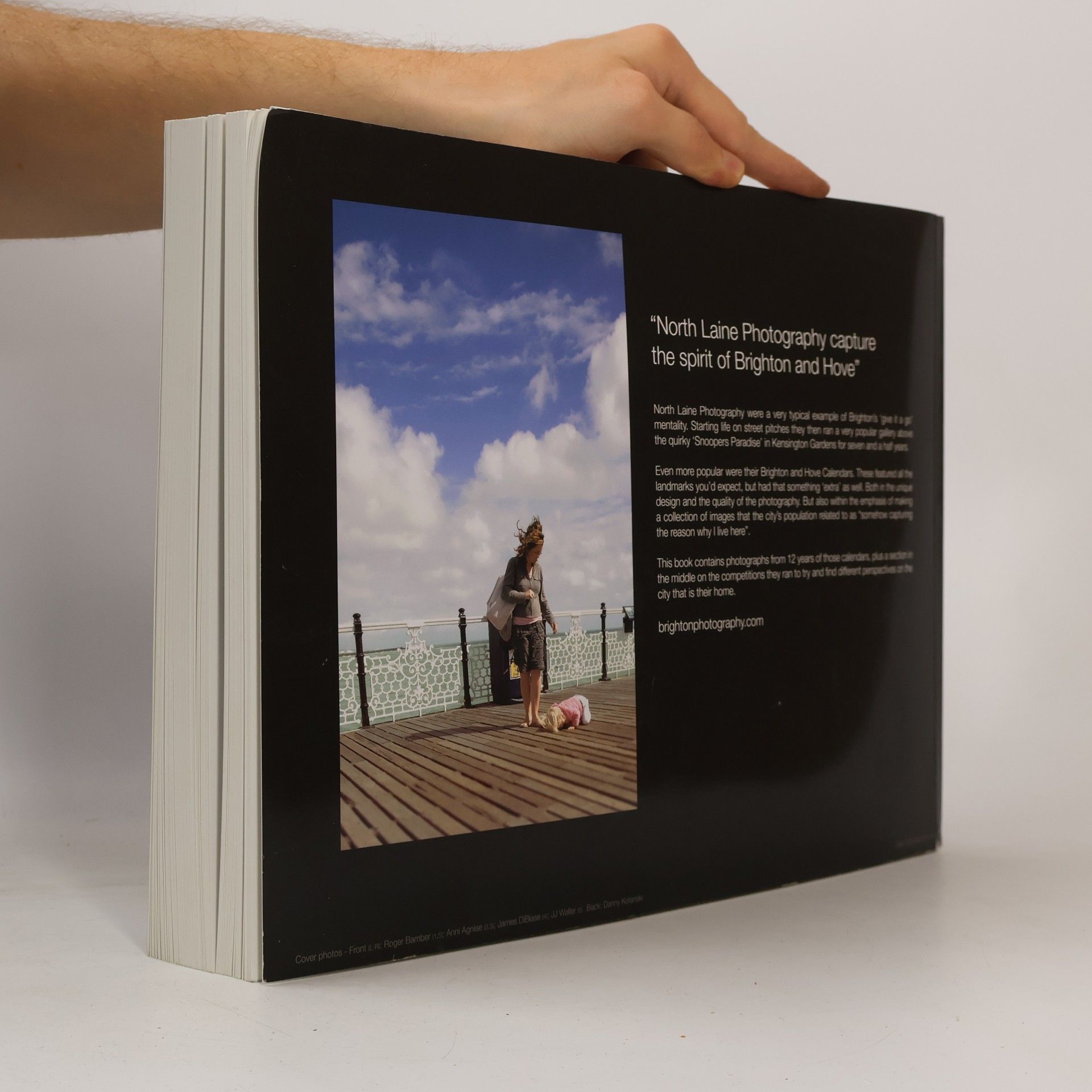 N.K. Swallow The Brighton Book