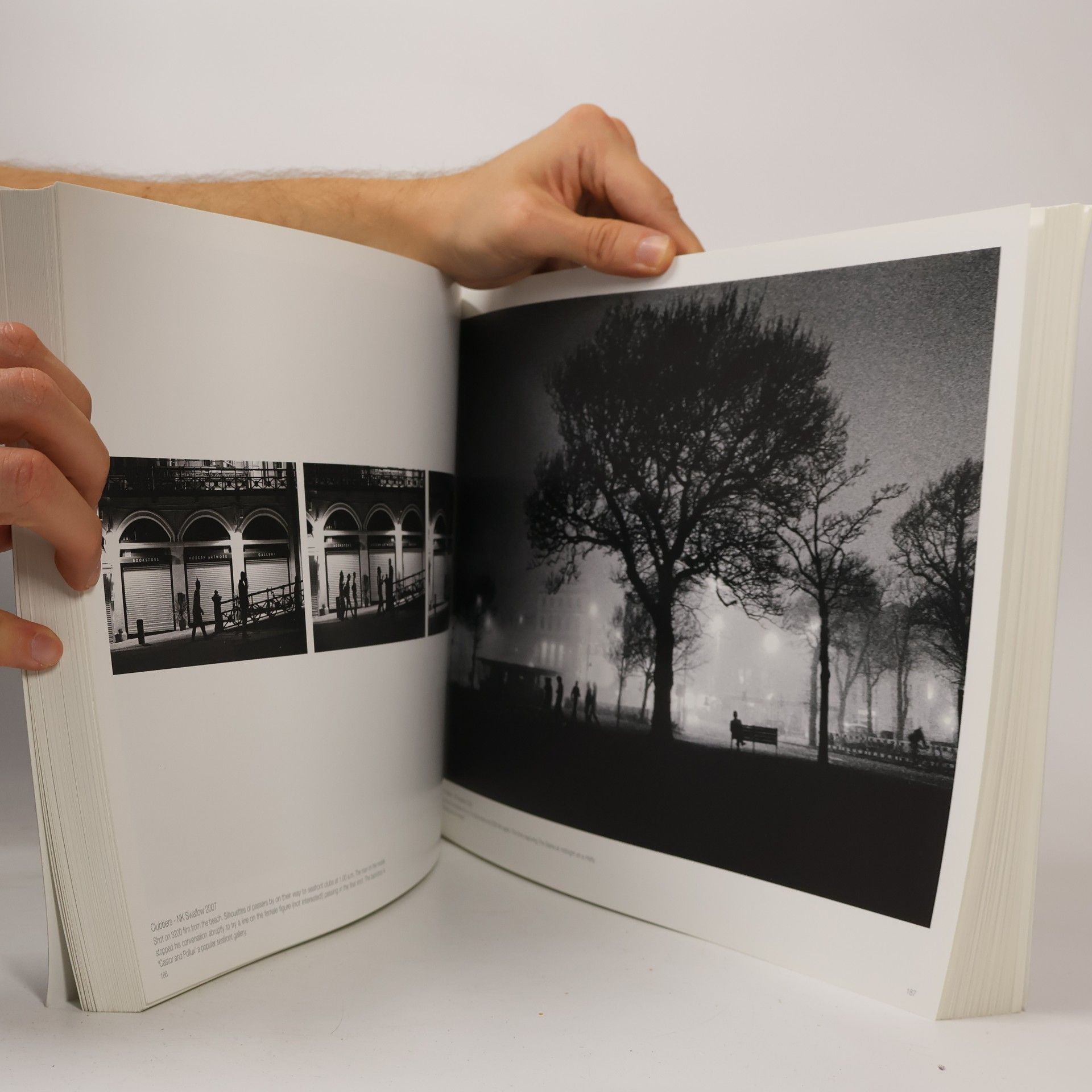 N.K. Swallow The Brighton Book