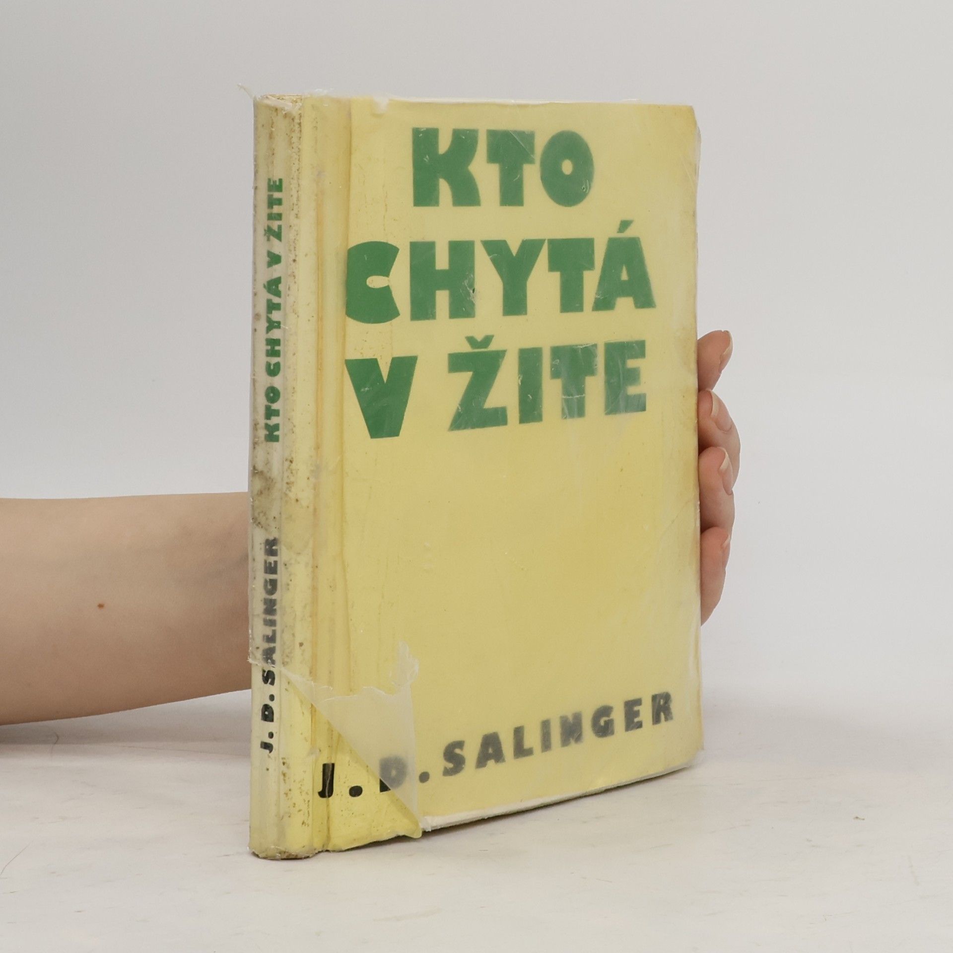 J. D. Salinger Kto chytá v žite