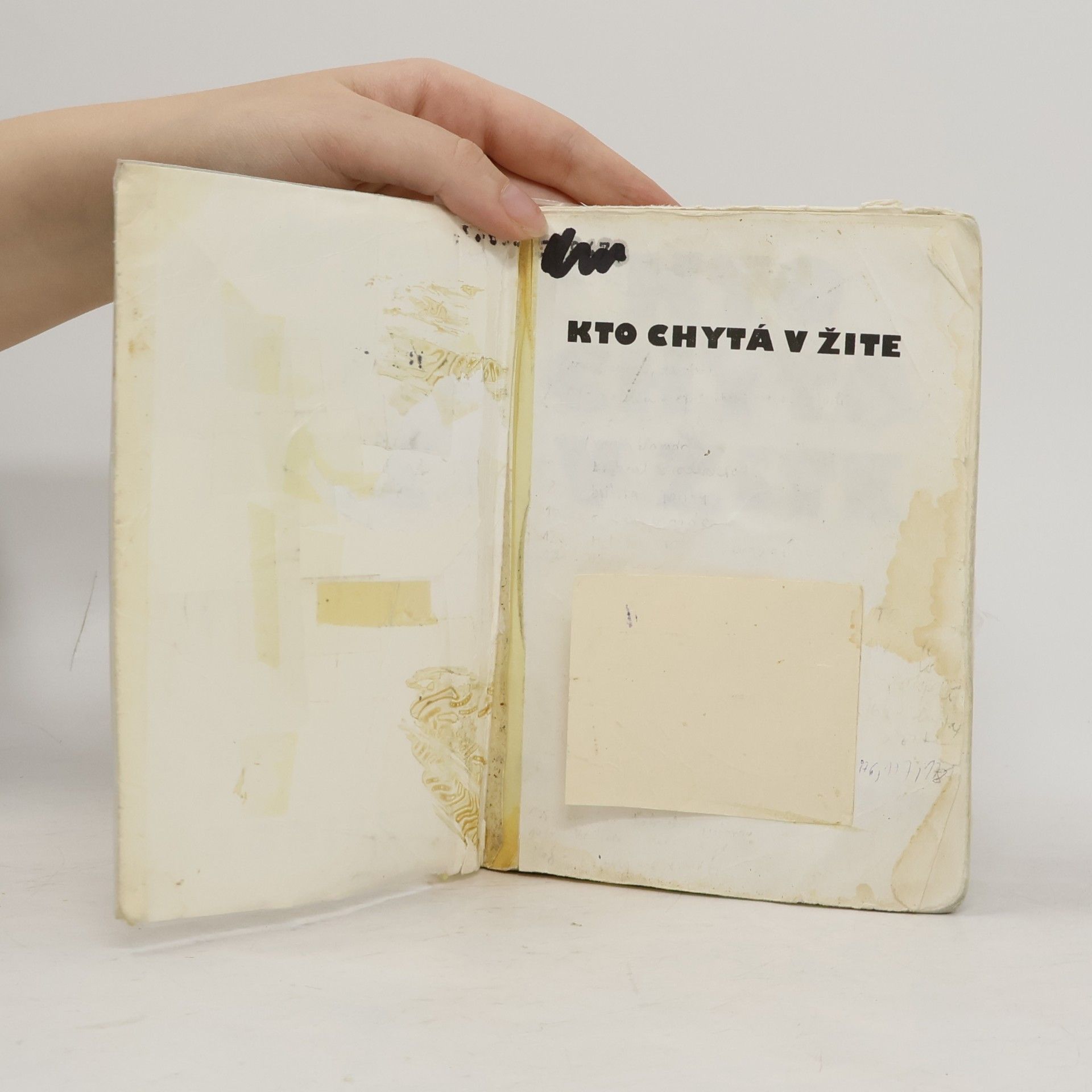 J. D. Salinger Kto chytá v žite