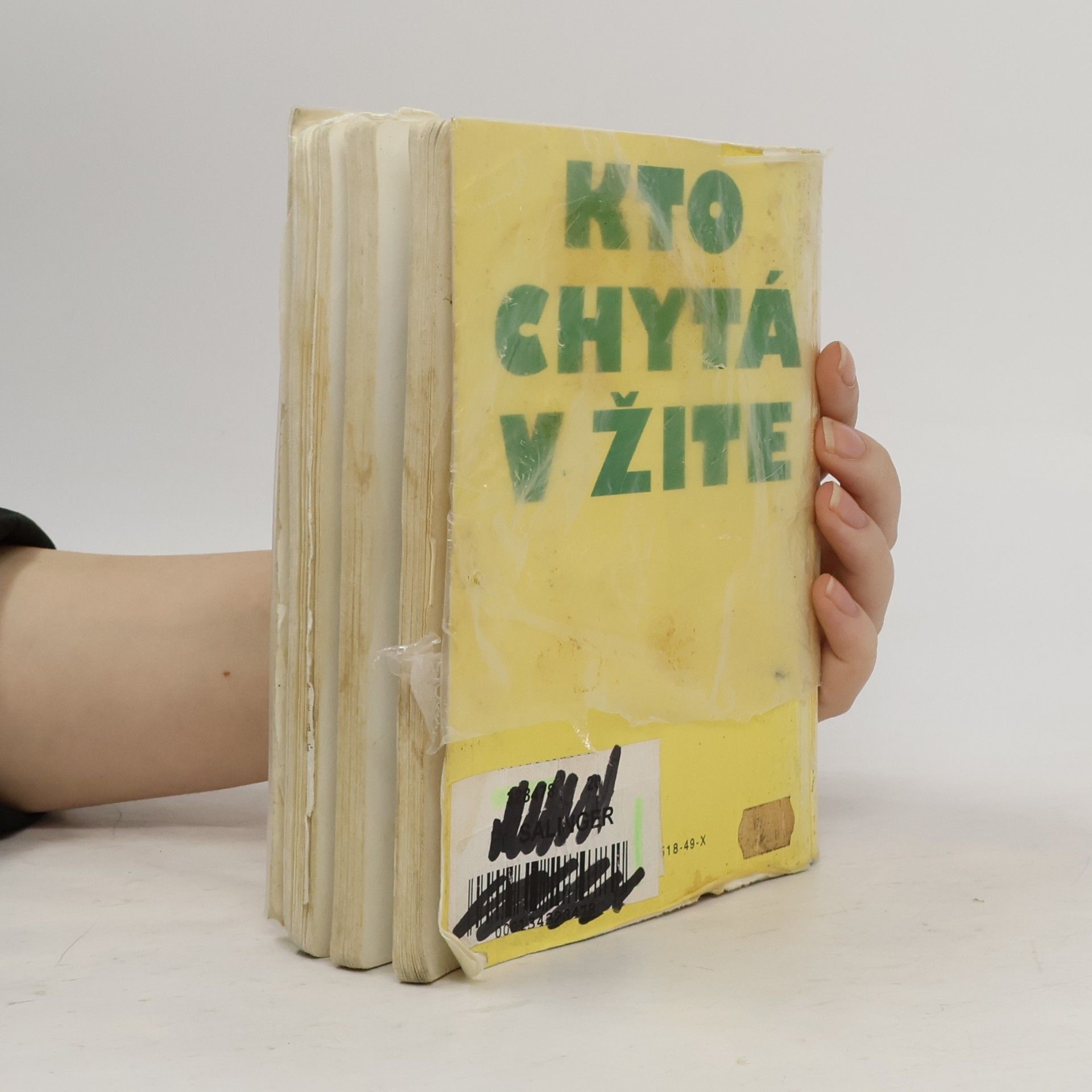 J. D. Salinger Kto chytá v žite
