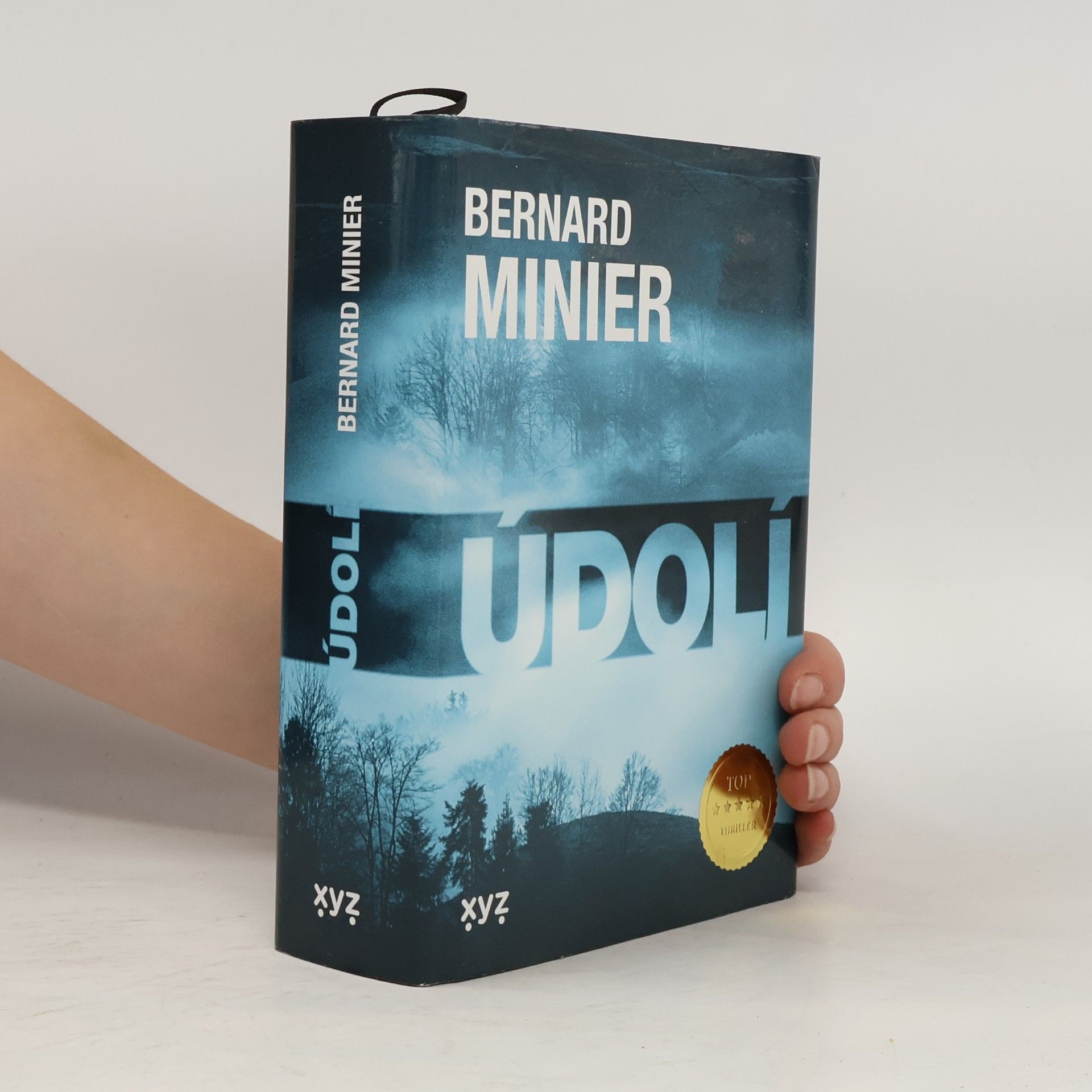 Bernard Minier Údolí