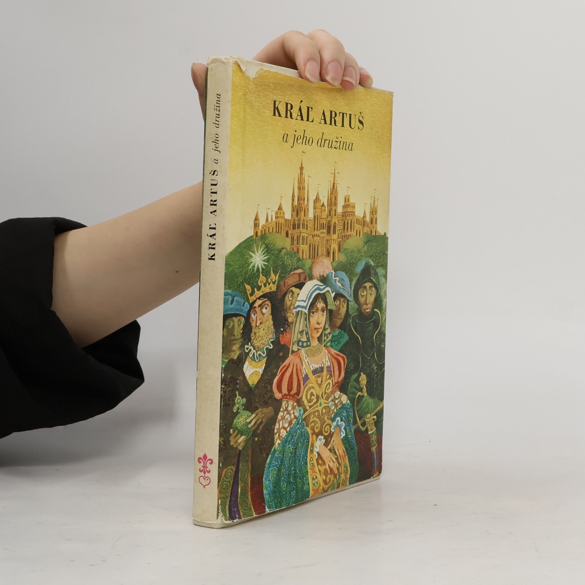 Elena Chmelová Kráľ Artuš a jeho družina