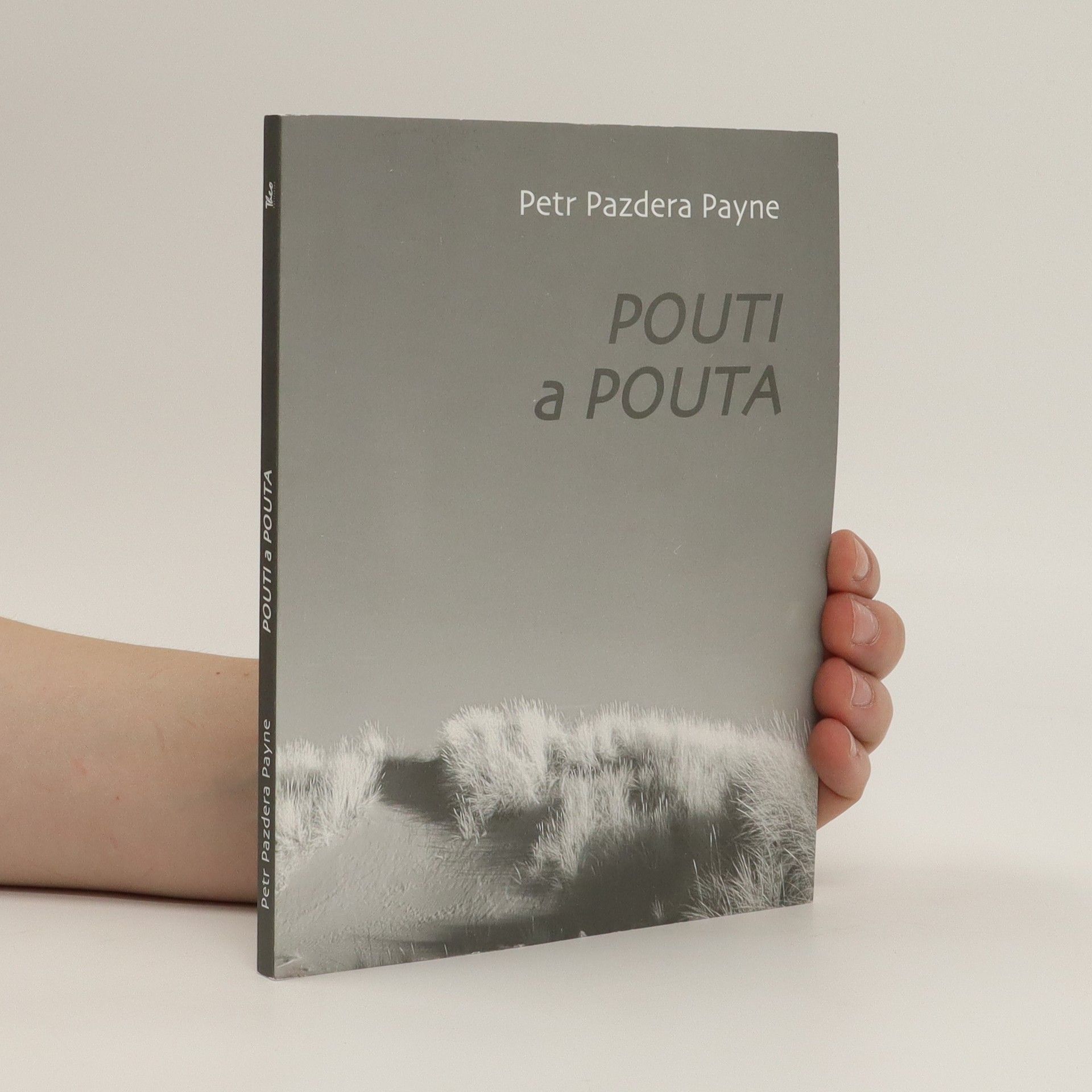 Petr Pazdera Payne Pouti a pouta