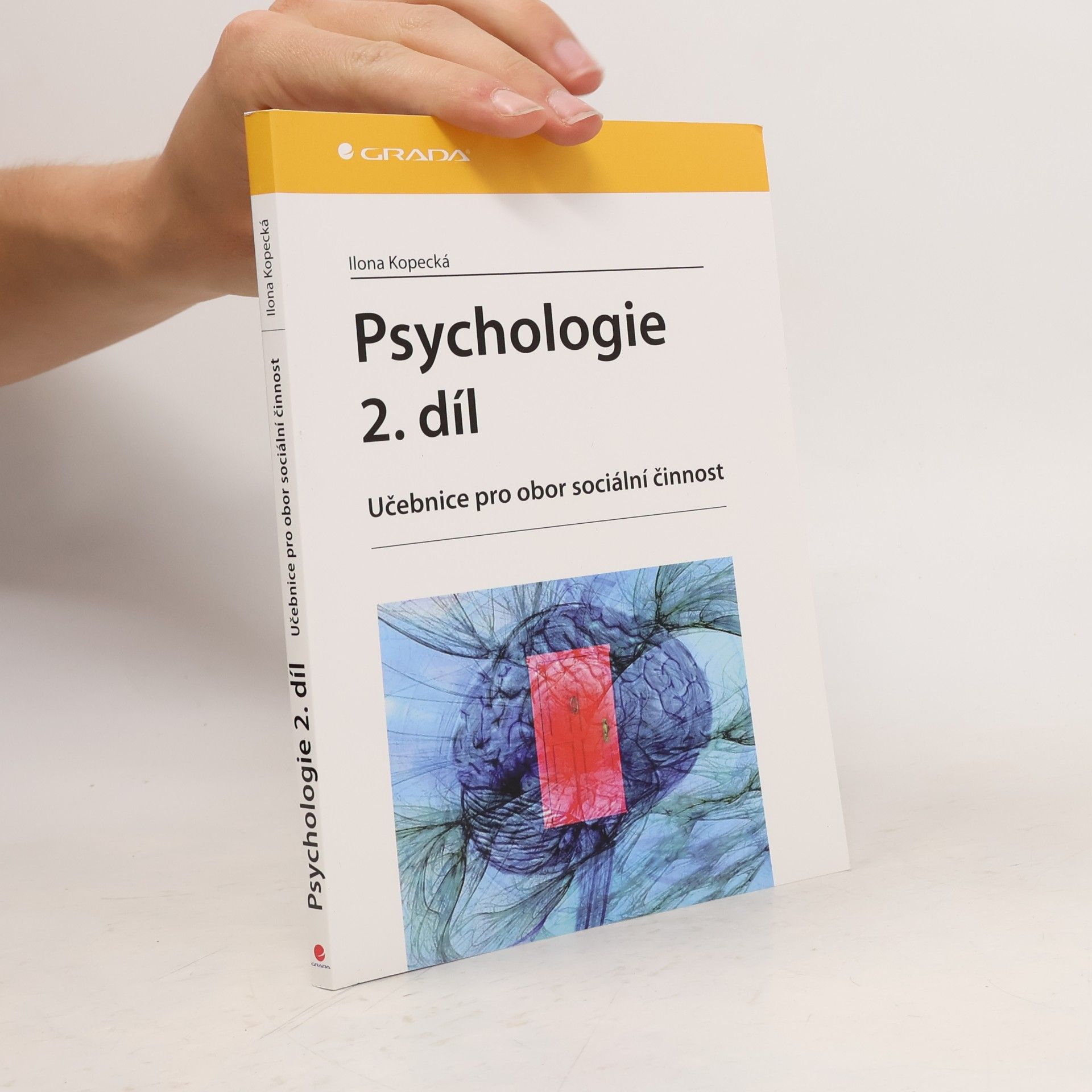 Ilona Kopecká Psychologie : učebnice pro obor sociální činnost. 2. díl