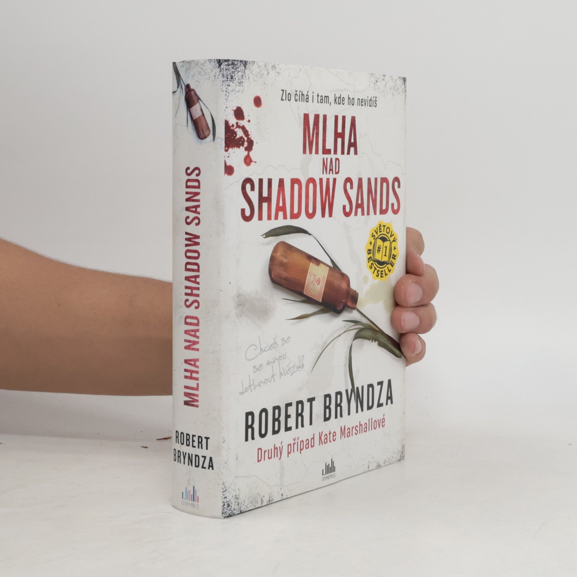 Robert Bryndza Mlha nad Shadow Sands
