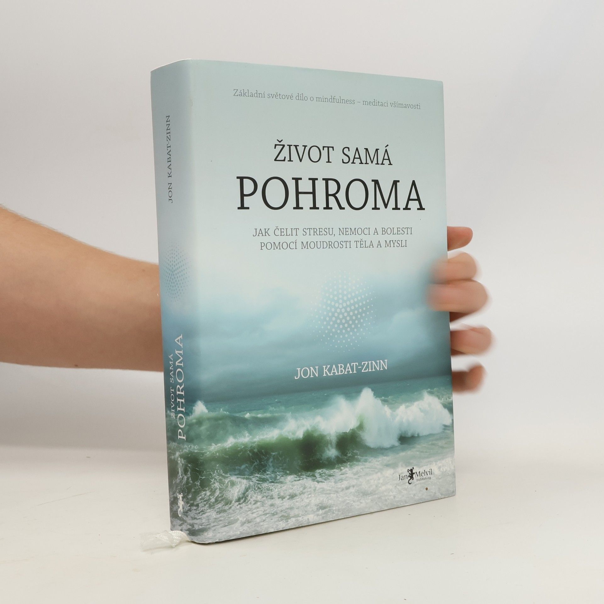 Jon Kabat Zinn Život samá pohroma