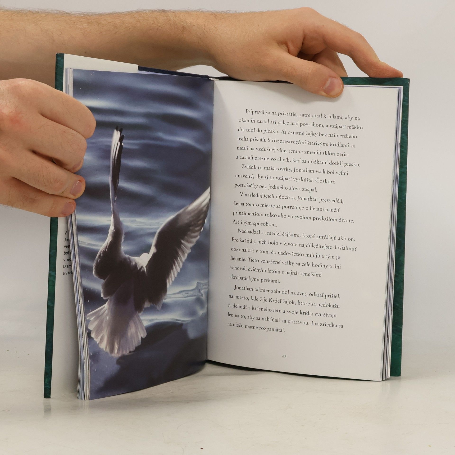 Richard Bach Čajka Jonathan Livingston