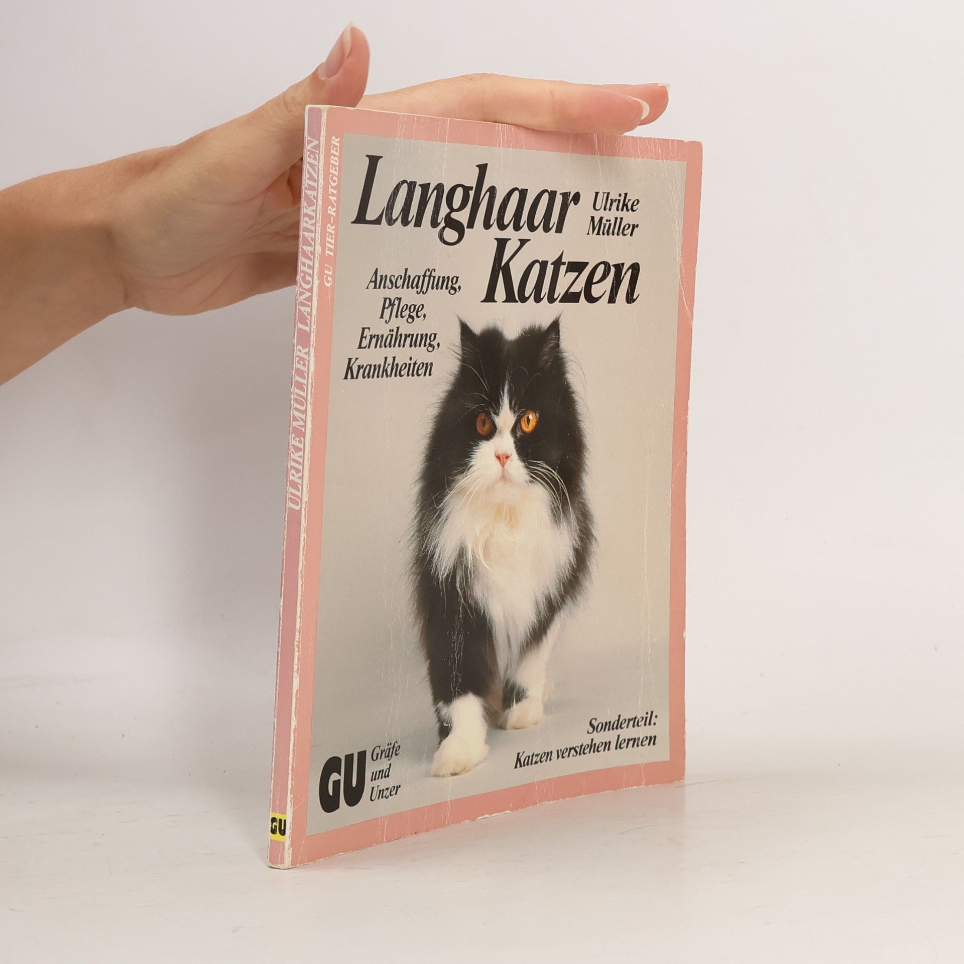Ulrike Müller Langhaar-Katzen