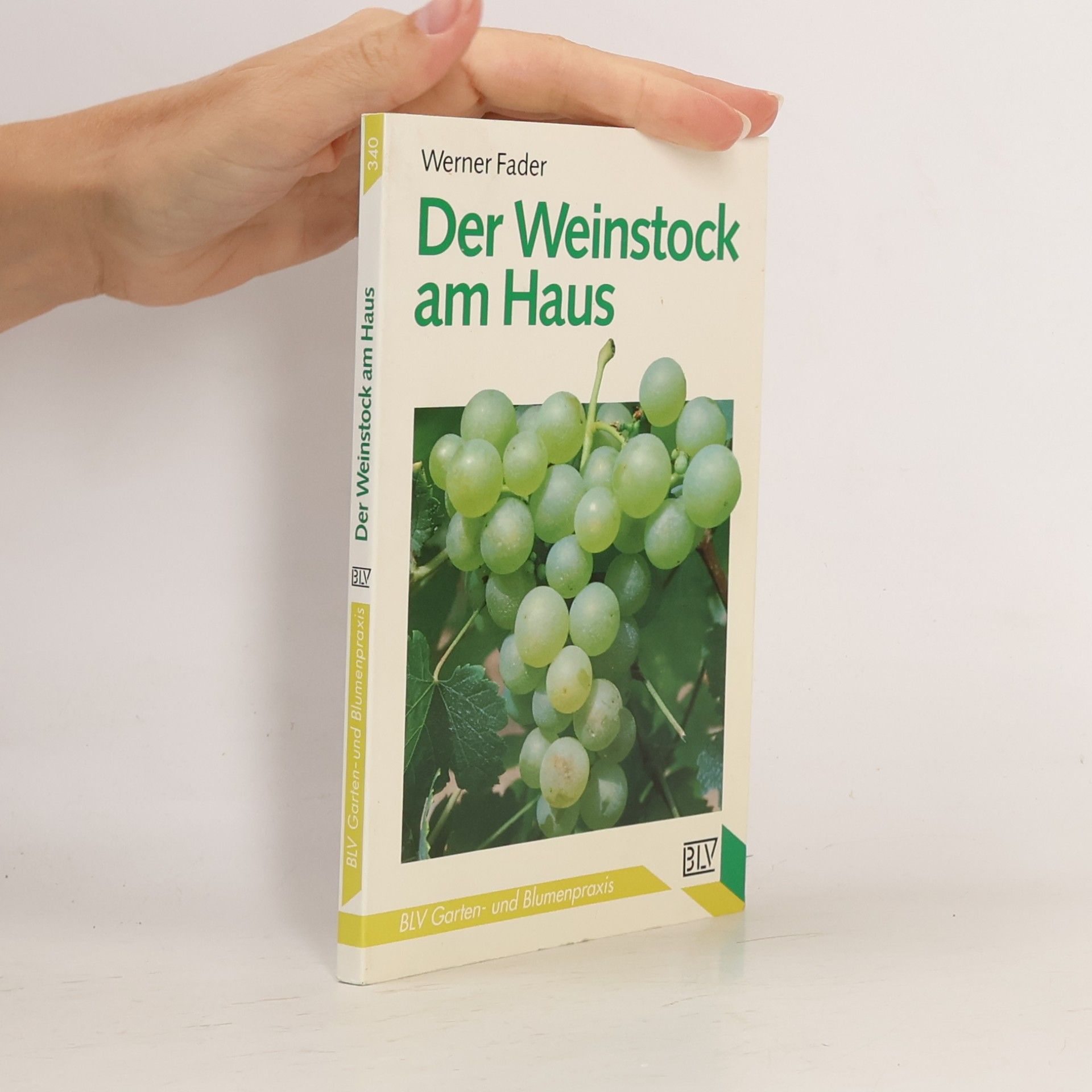 Werner Fader Der Weinstock am Haus