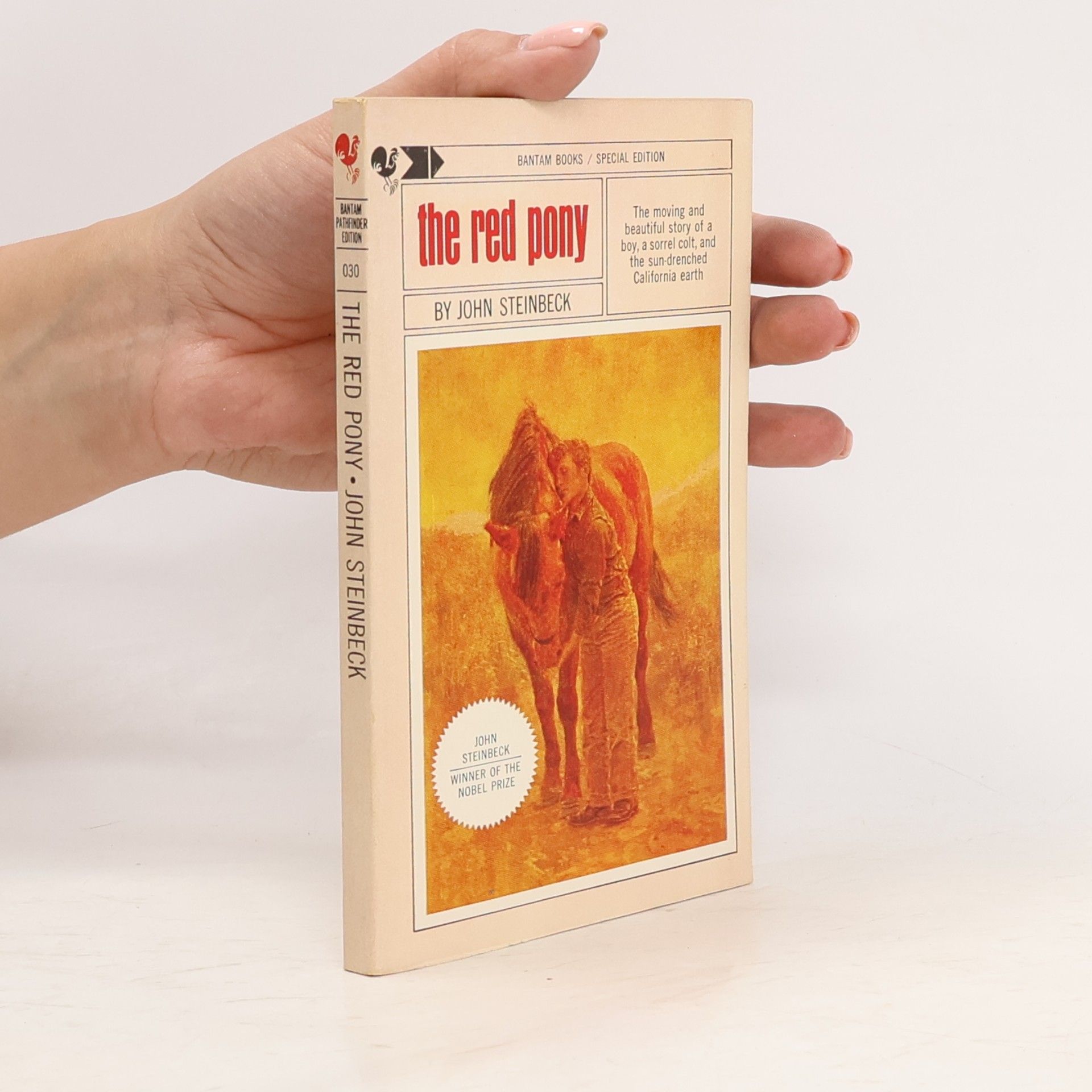 John Steinbeck The Red Pony