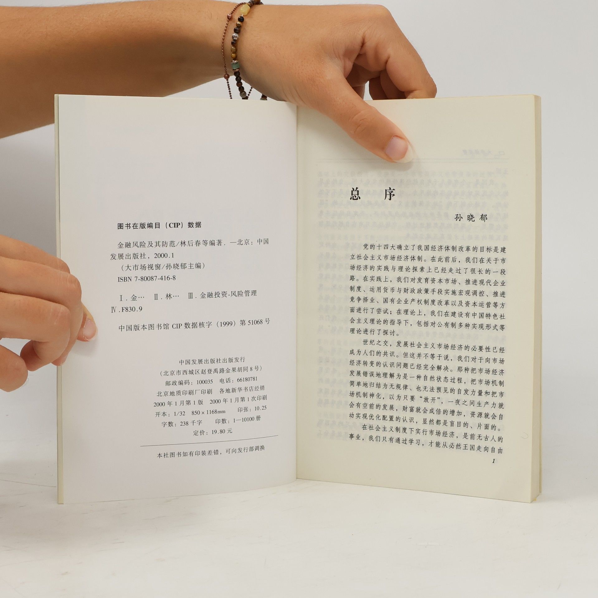 Xiaoyu Sun 金融风险及其防范