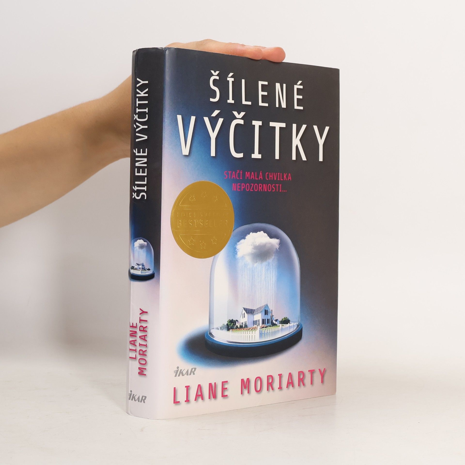 Liane Moriarty Šílené výčitky
